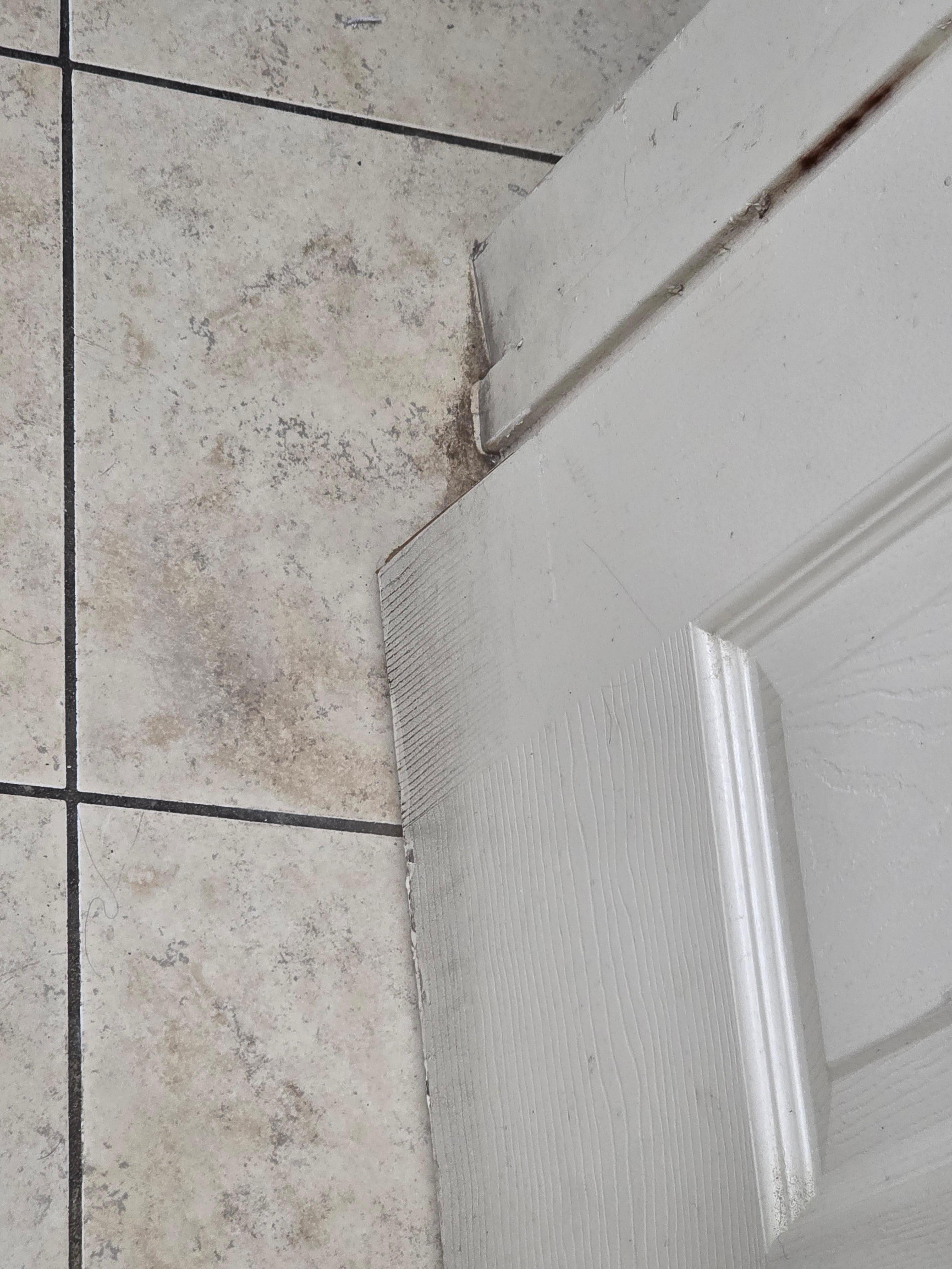 Bottom of the bathroom door. It was nasty. 