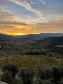Watching the Sun rise over the beautiful vineyards…breathtaking.