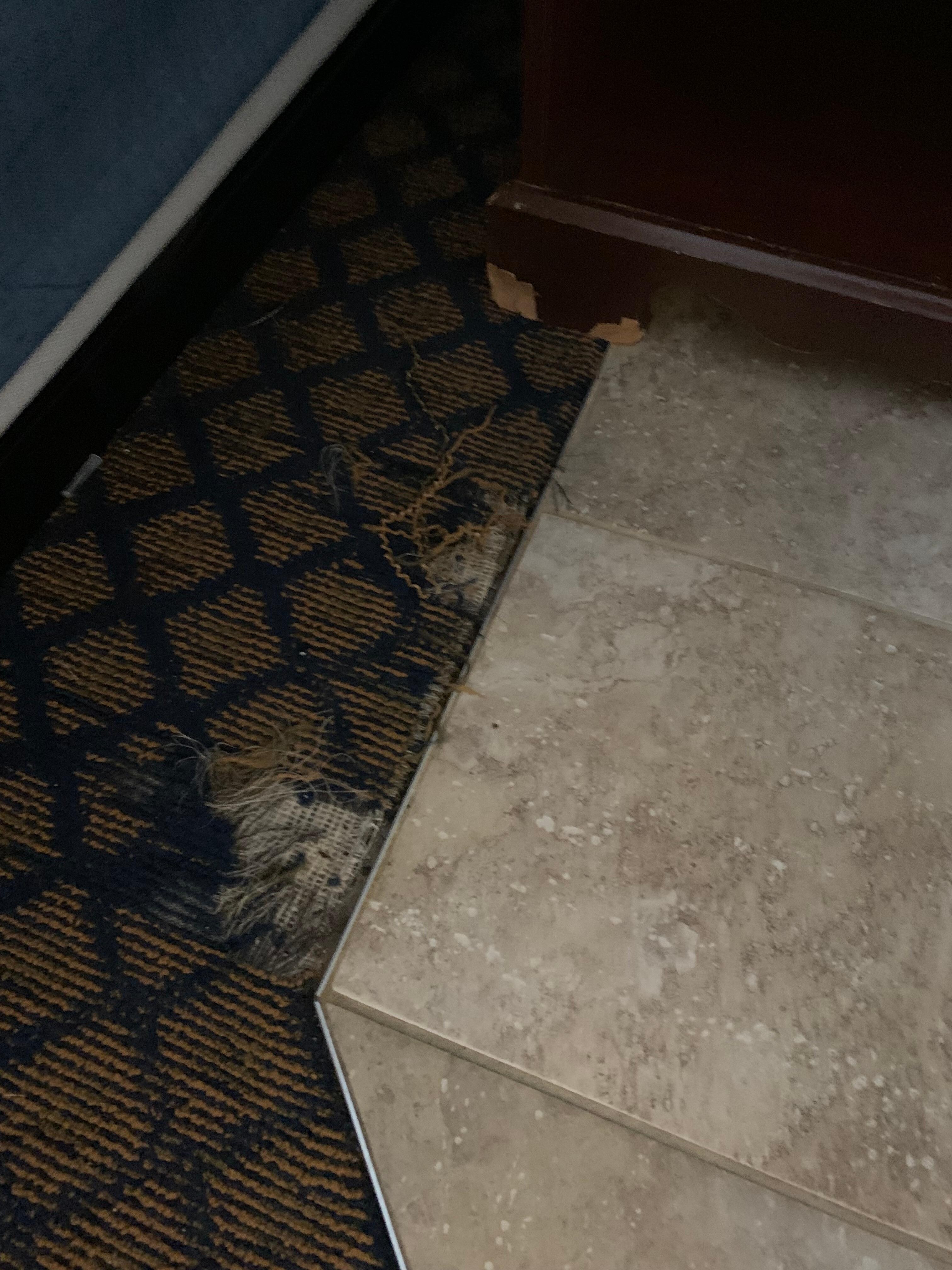 Carpet torn up by bed.