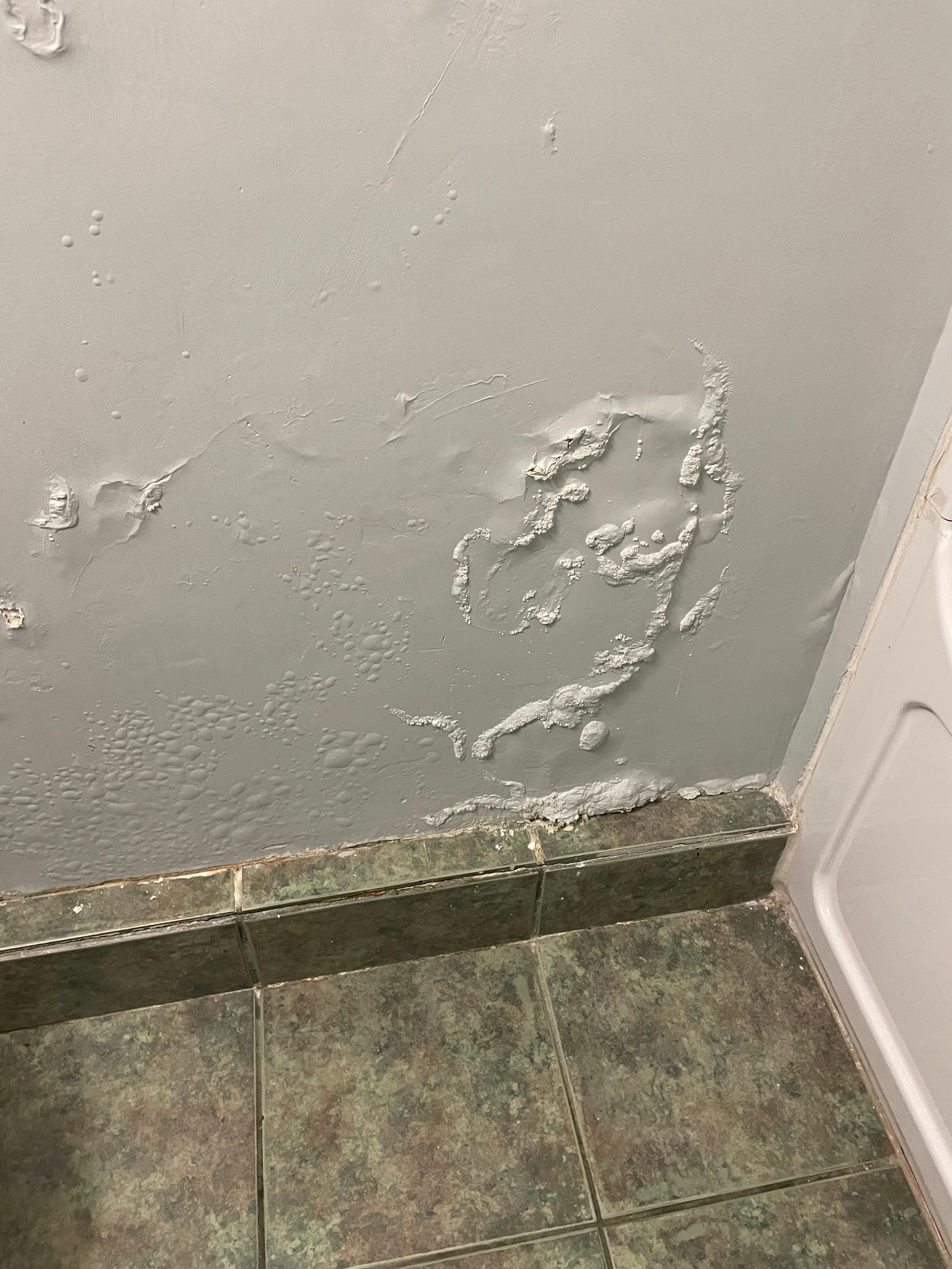 Condition of the wall in the bathroom.