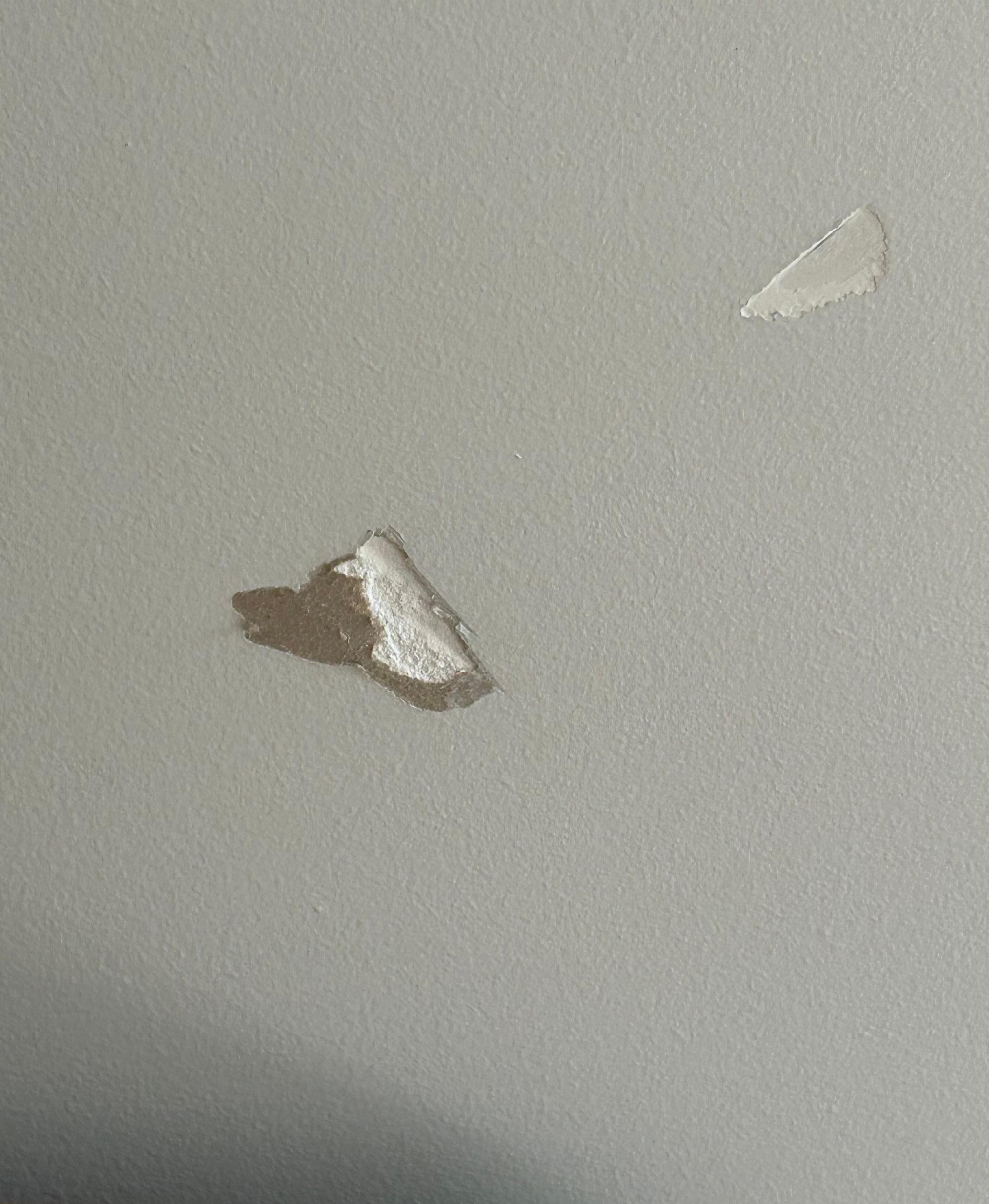 Cracks in two bed apartment
