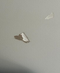 Cracks in two bed apartment
