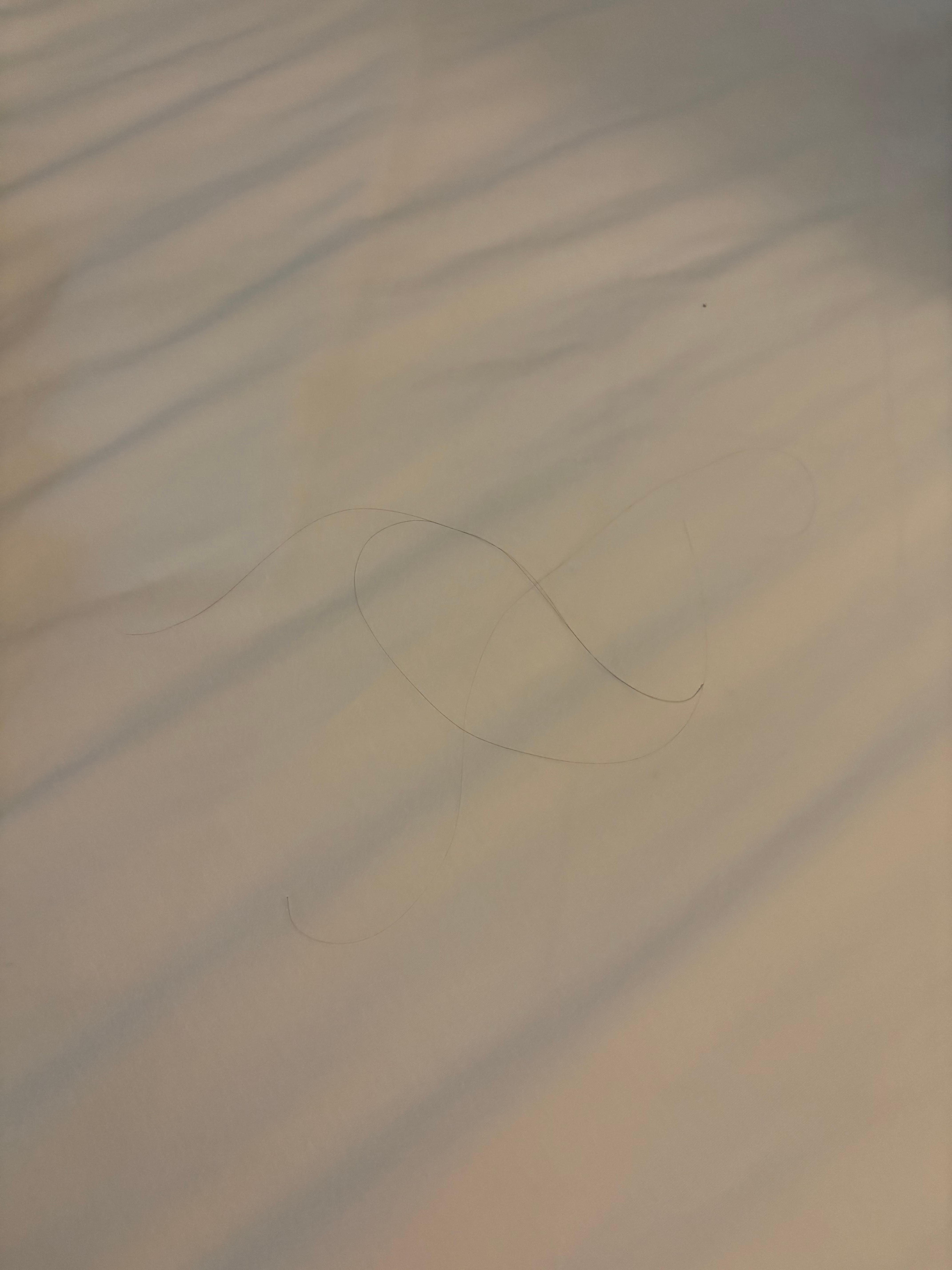 Hair IN bed