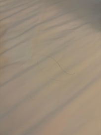 Hair IN bed