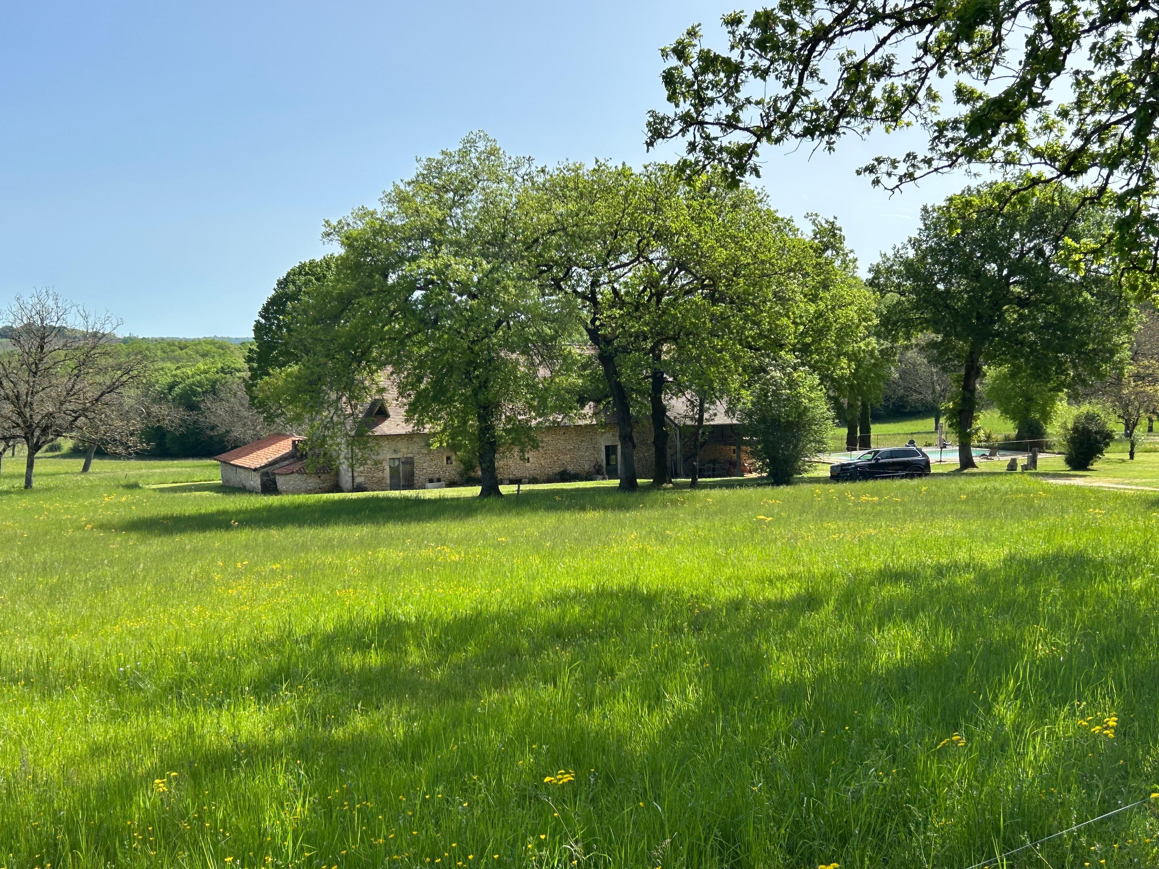 Frontgarden view