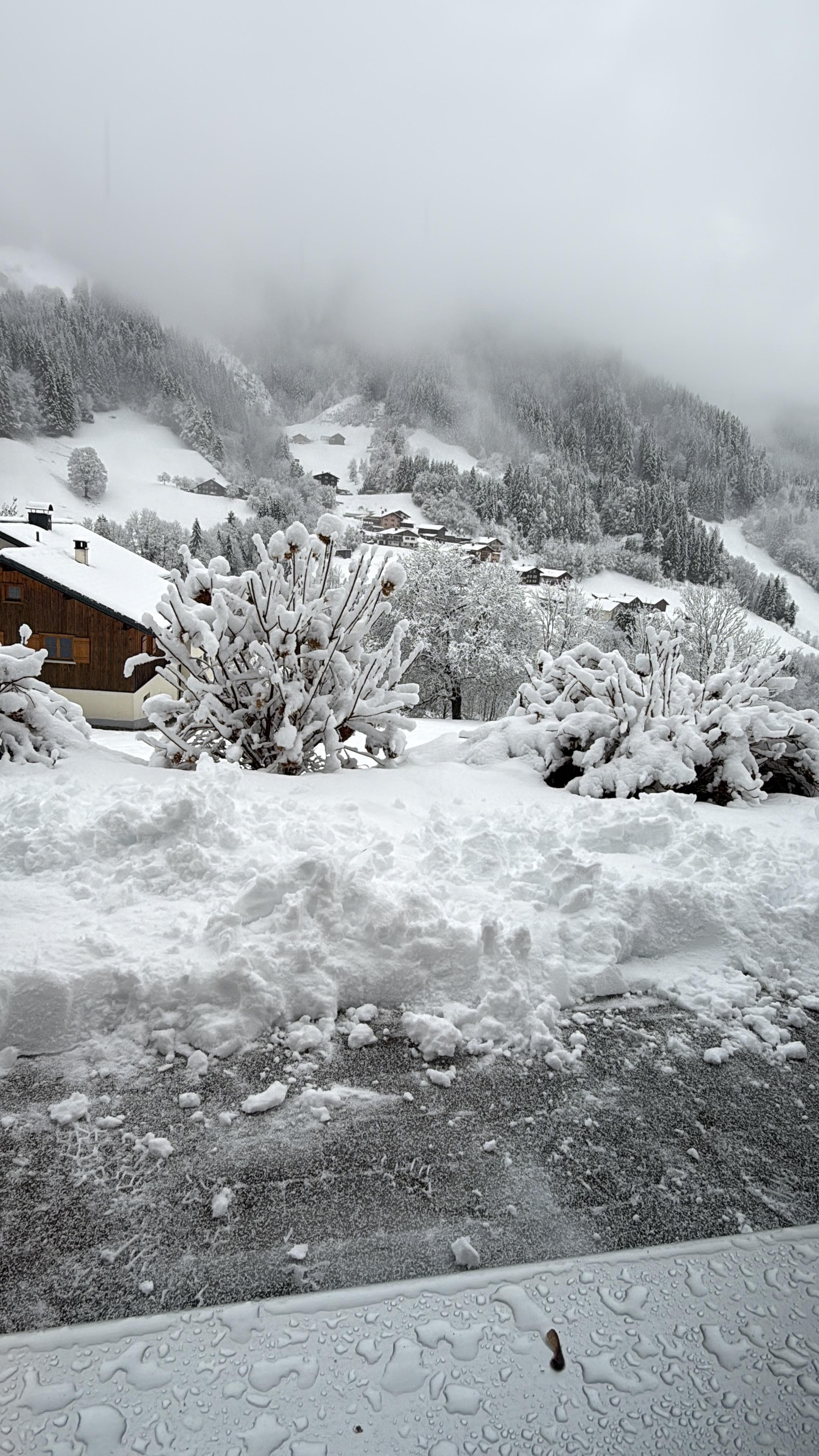 Uitzicht vanuit de slaapkamer na een nacht sneeuw 😍