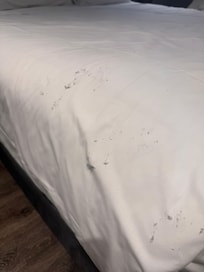 Dirt on bed