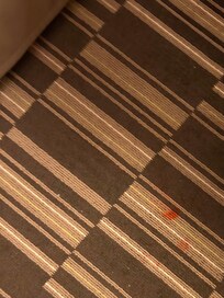 Stains on floor