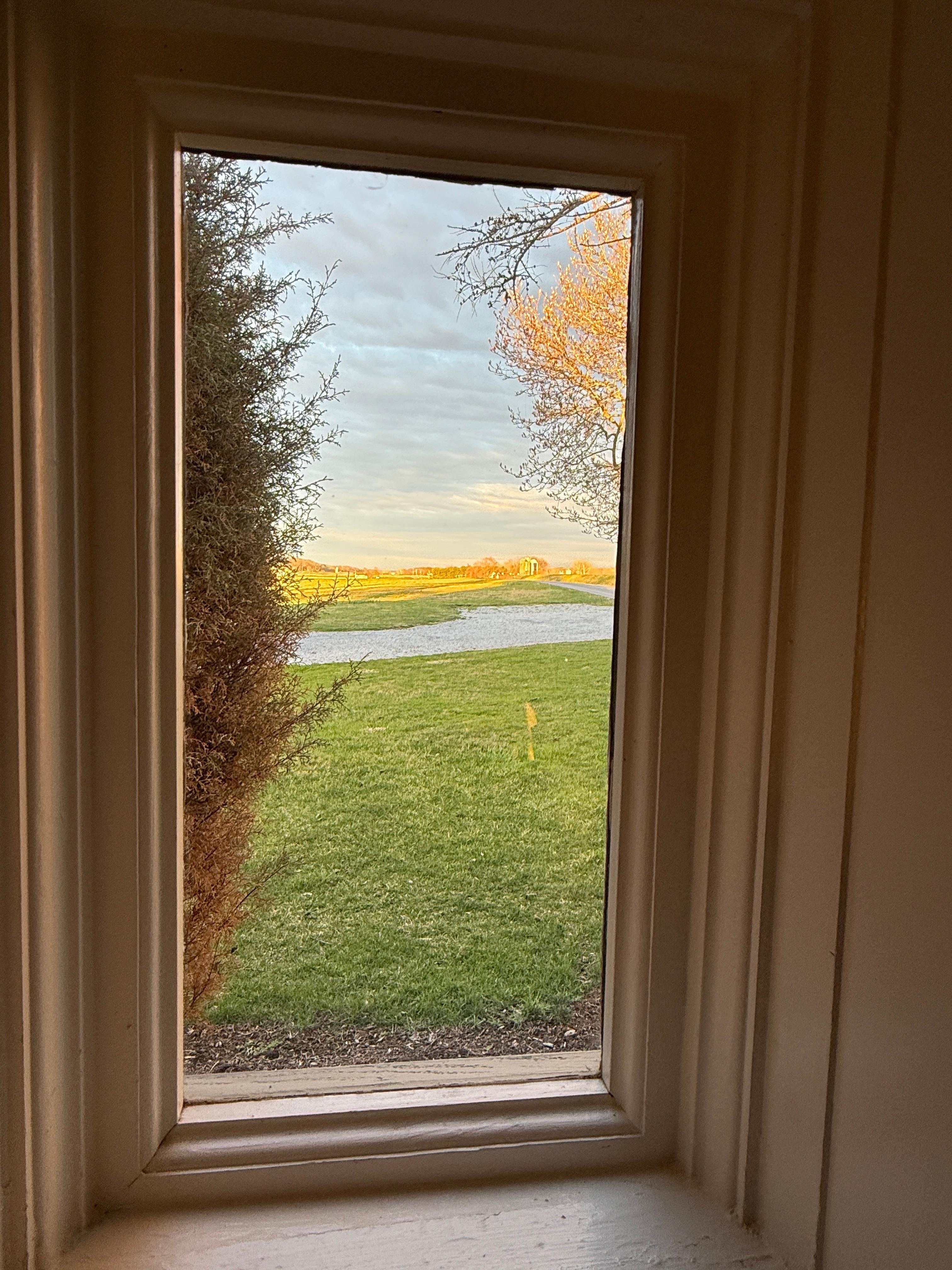 View from the side window 