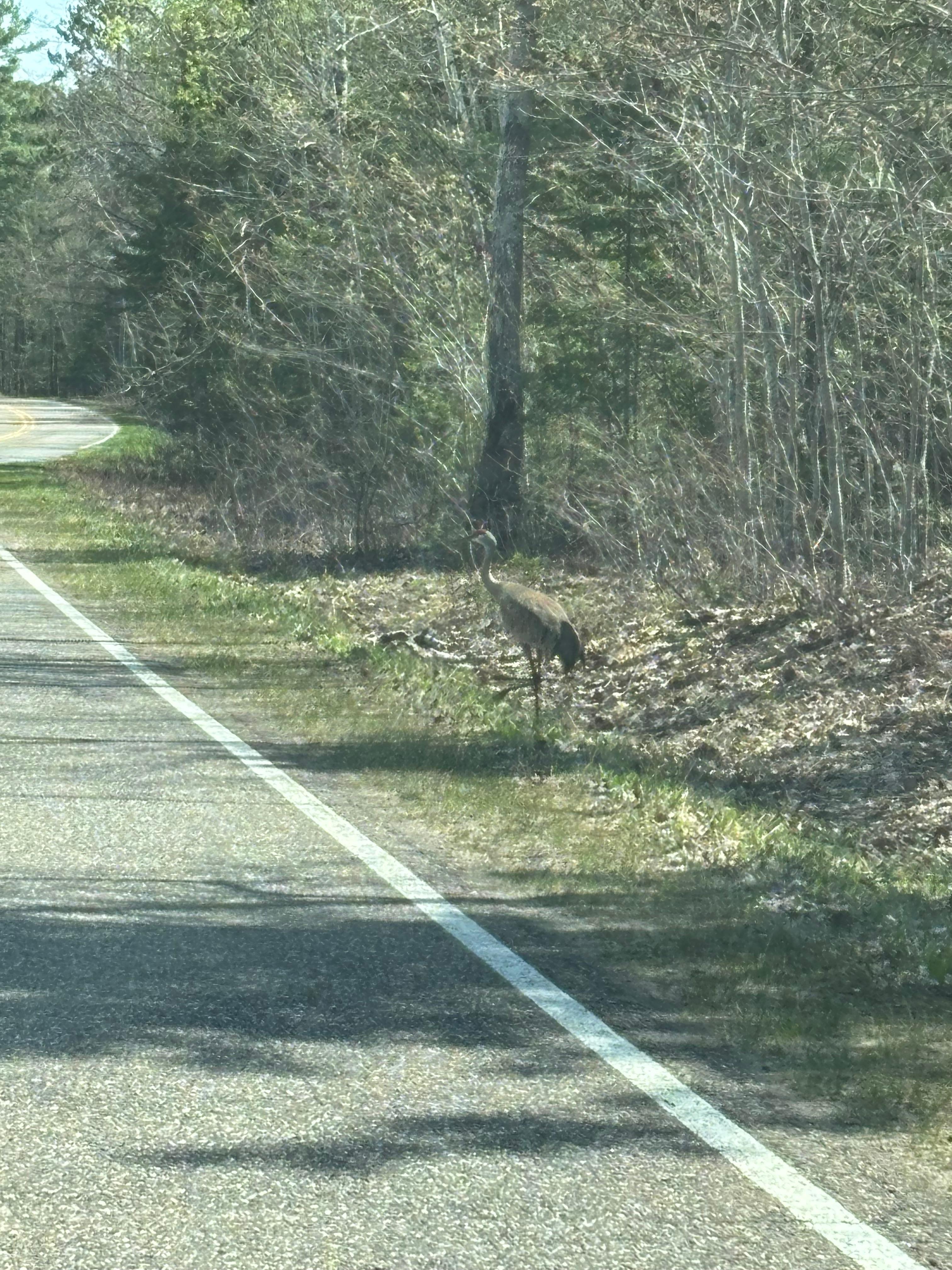 Curley Lewis Memorial Highway