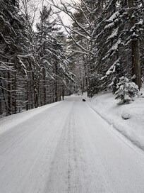Another pic of Clear Creek. We got about 10” of snow…. gorgeous scenery!