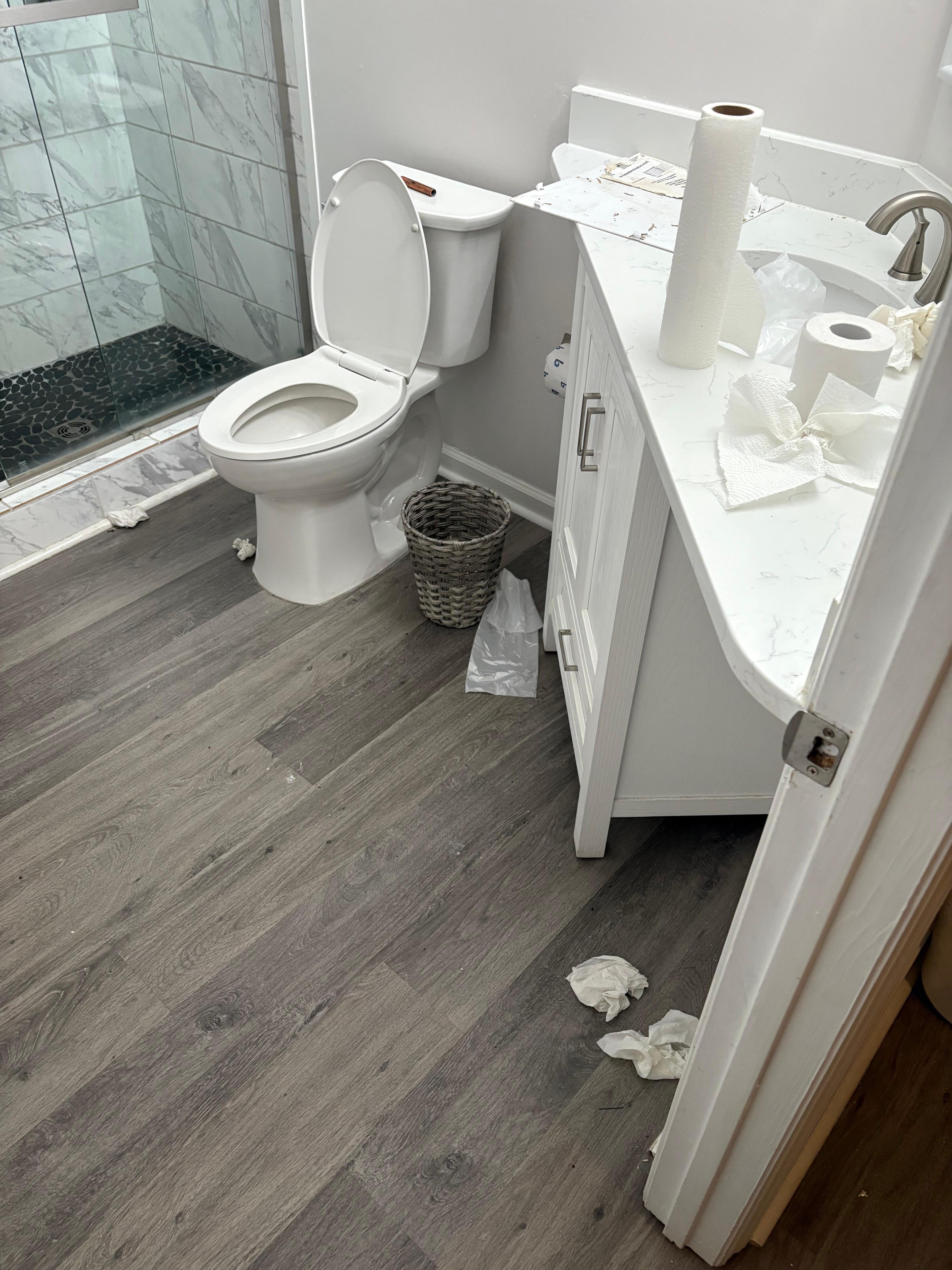 Trashed nonfunctional bathroom