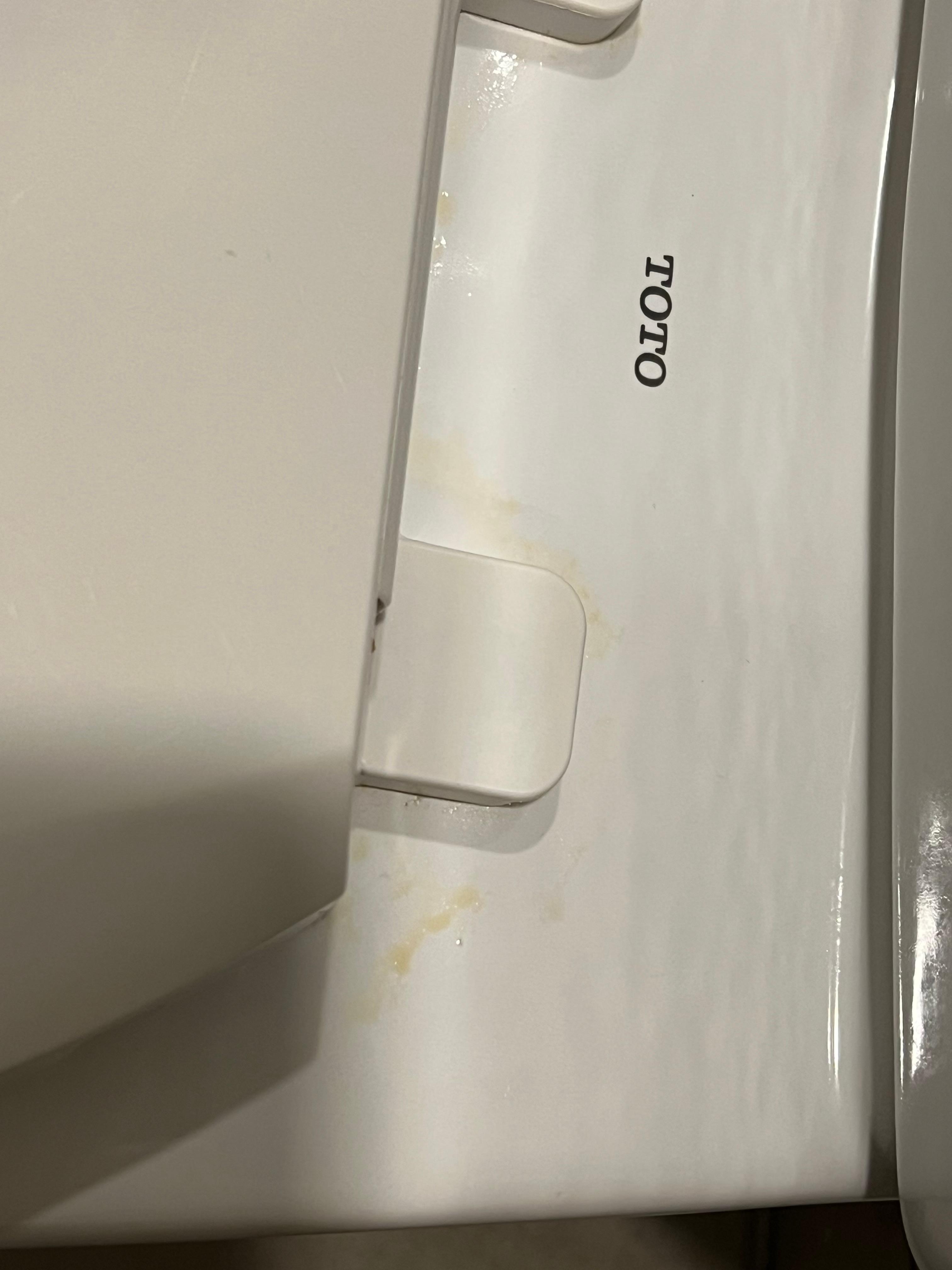 Gross urine stains