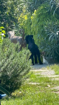 wunderschöner Gartenbereich