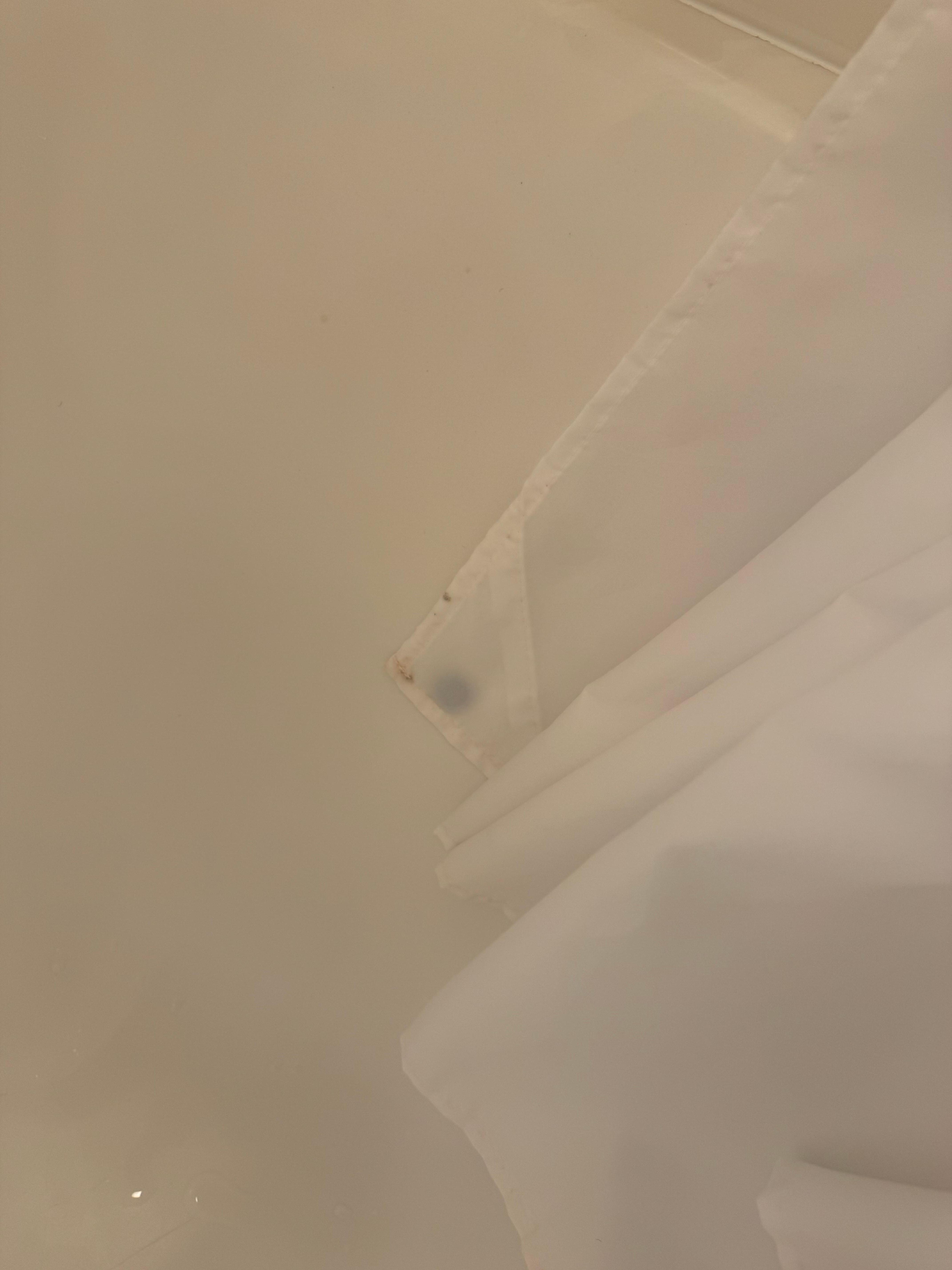 Mole on shower curtain in bathroom to the right 