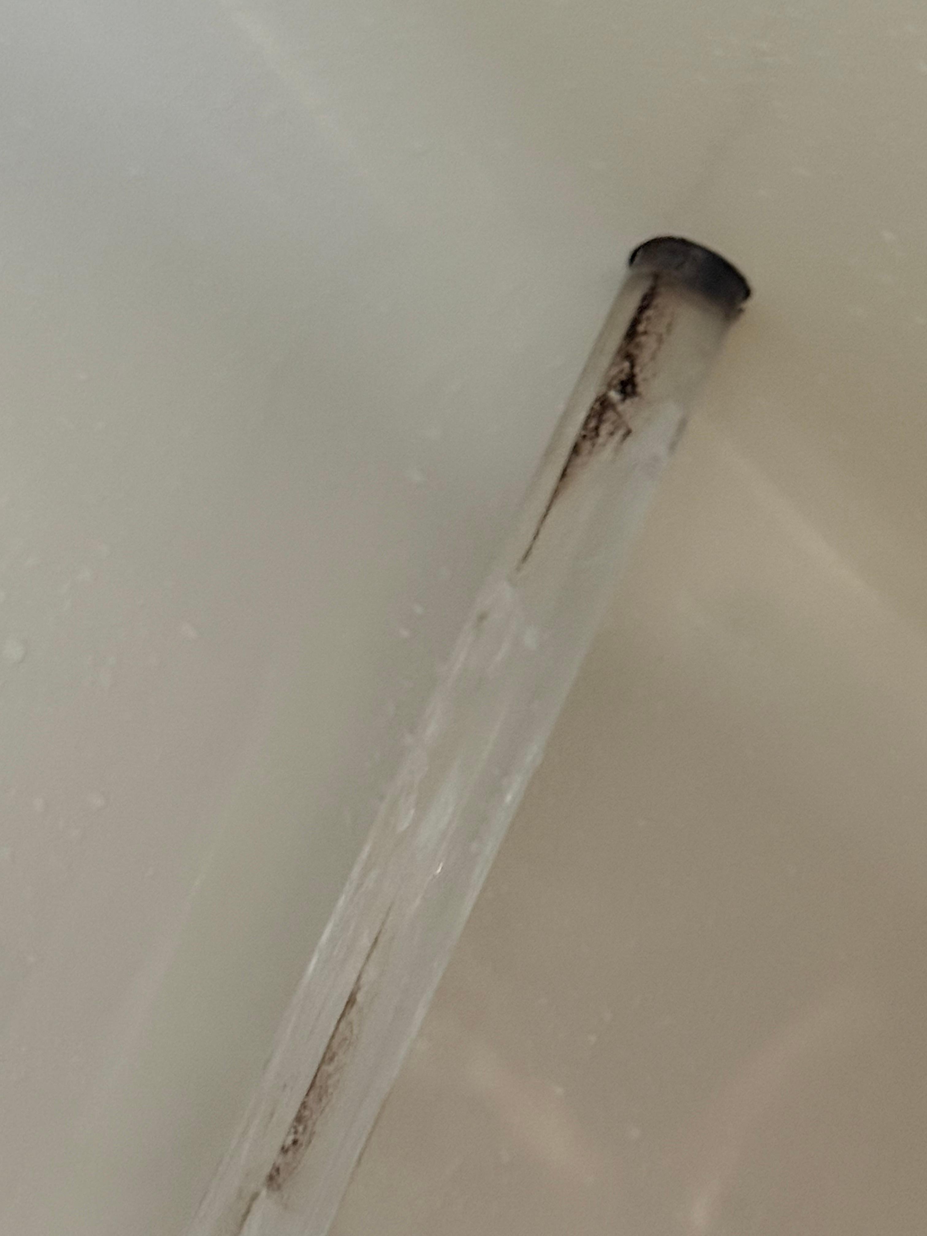 Black mold