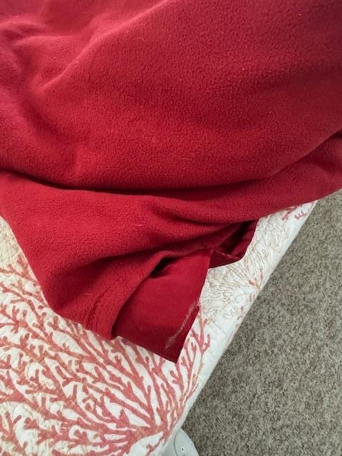 nasty dirty blankets NOT washed per Blue Rentals - pretty much told too bad 