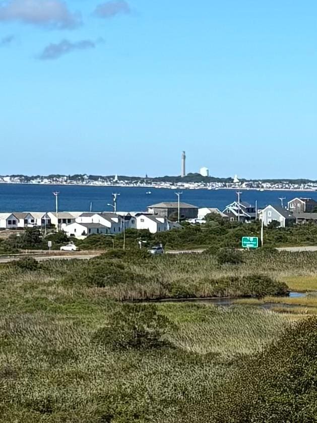 View from walking paths on site