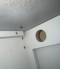 The only roach that didn’t immediately hide when I opened the cabinet in my room.