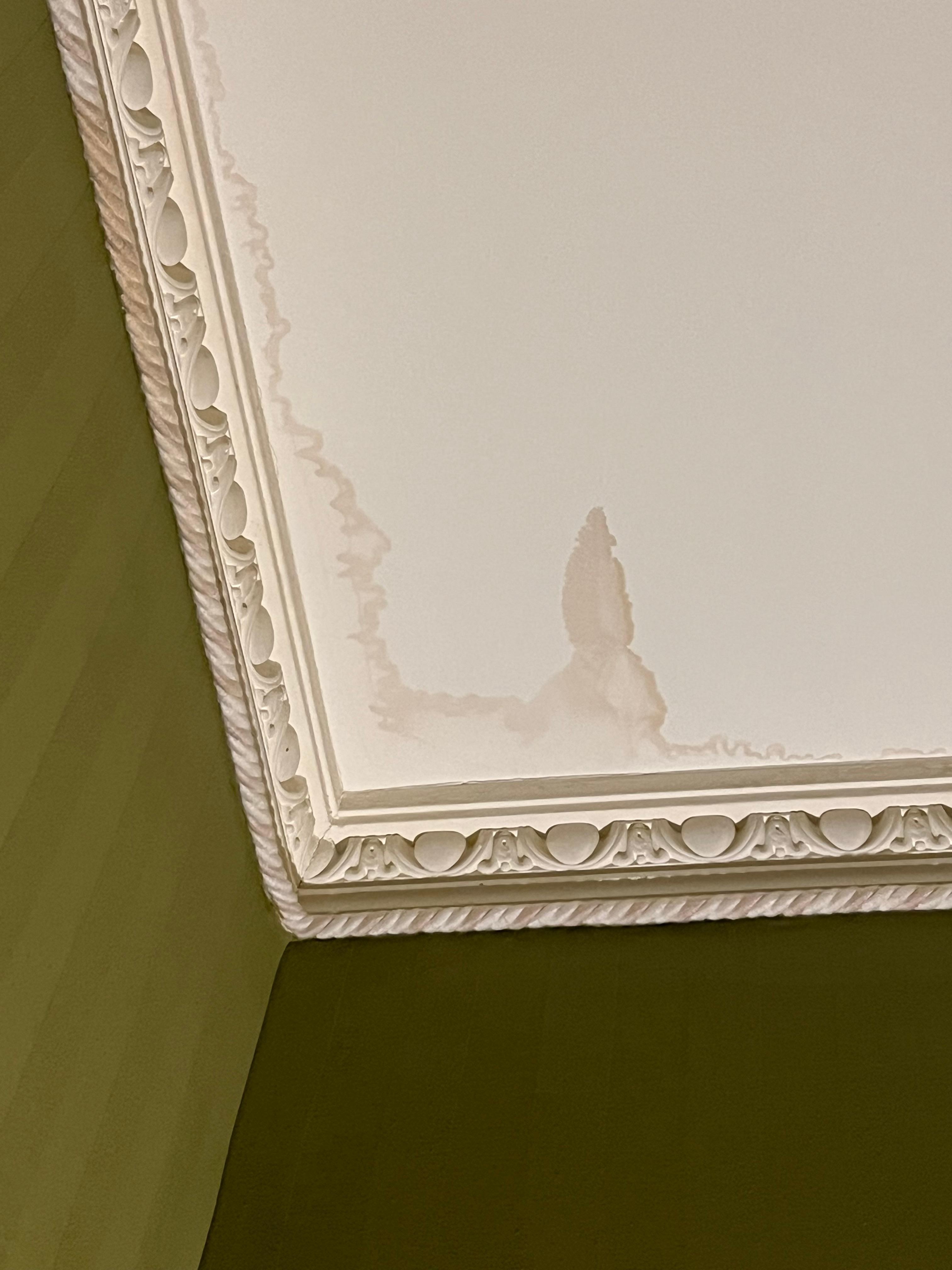 Leak in ceiling 