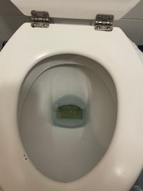 We didn’t even use the toilet it was in this state already