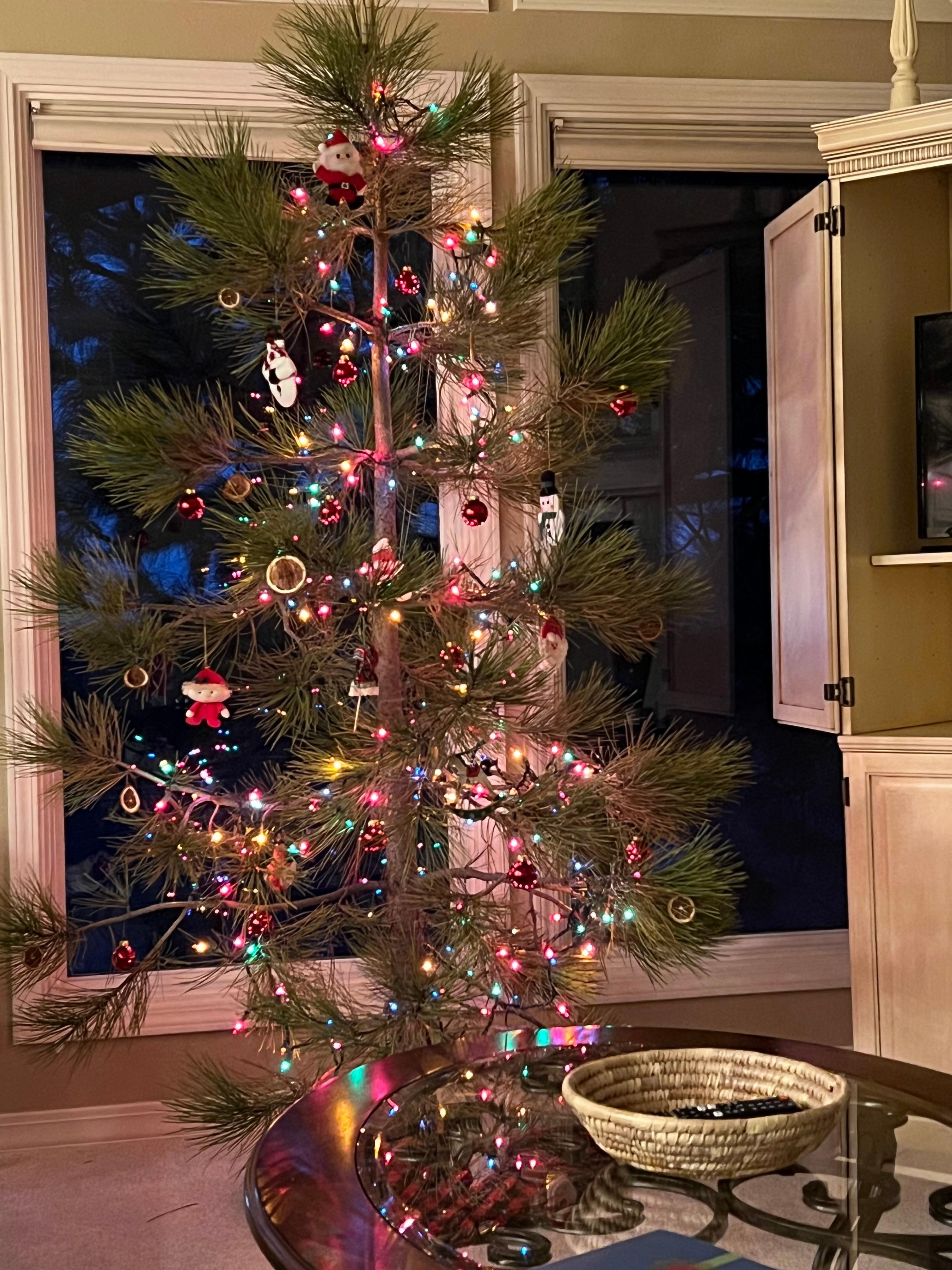 A wonderful place to spend Christmas with our family.