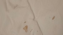 What looks like blood stains on the master comforter. Absolutely disgusting.