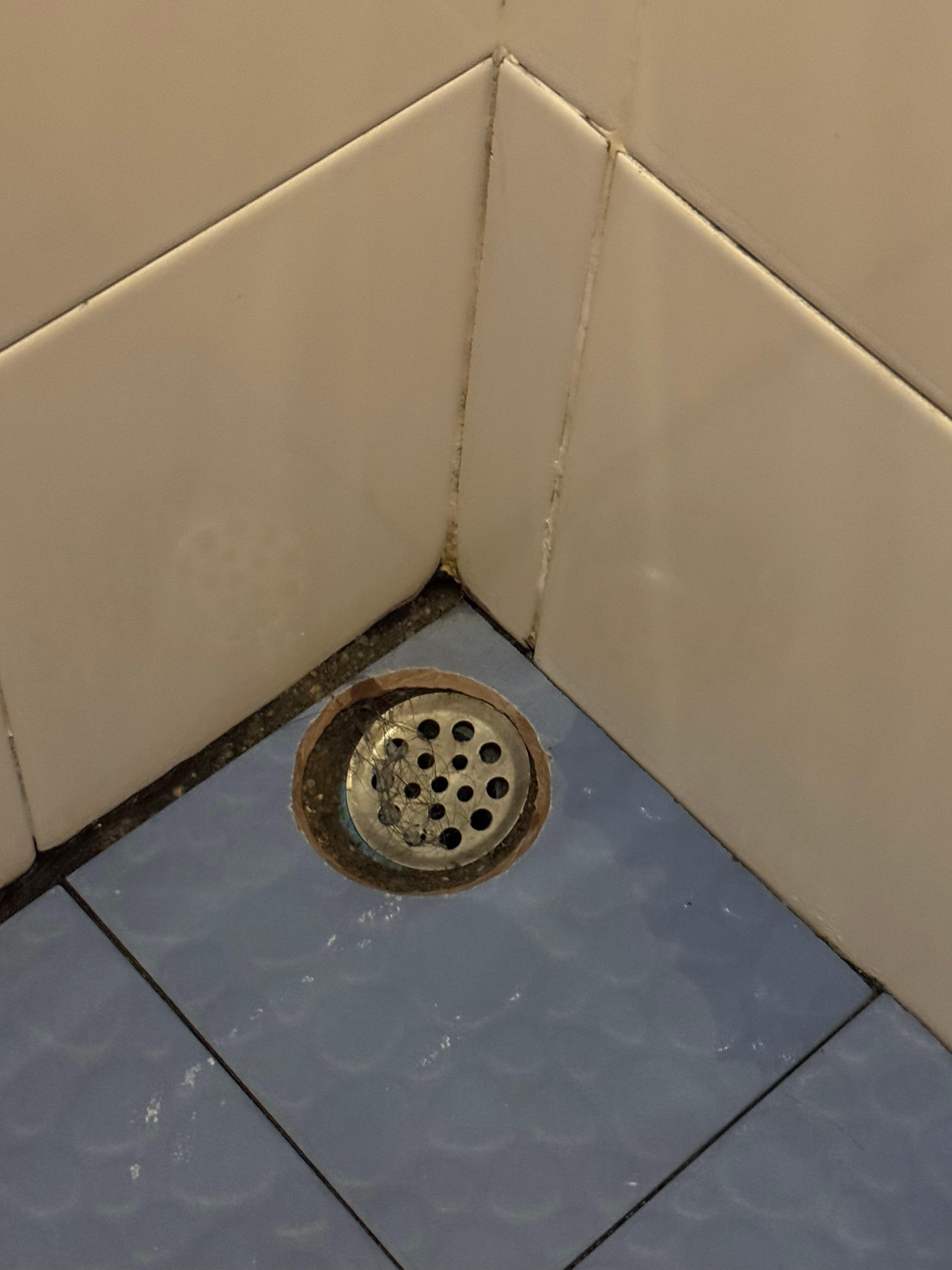 Dirty and rusty drains