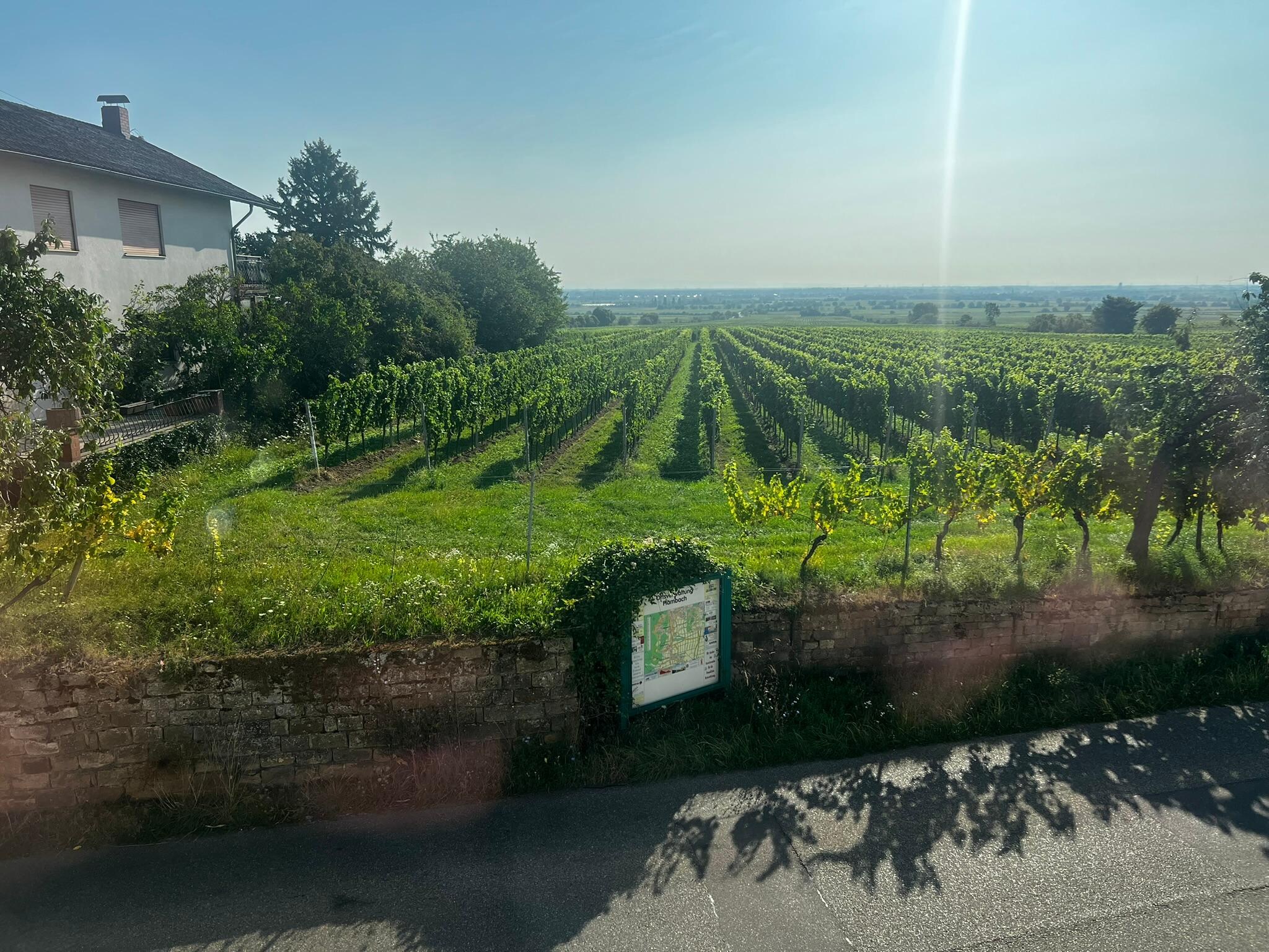 A view out the window. Beautiful!