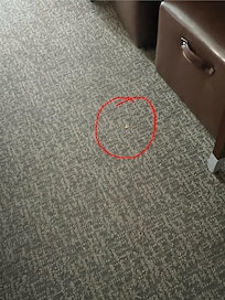 Wrappers and food on floor in room