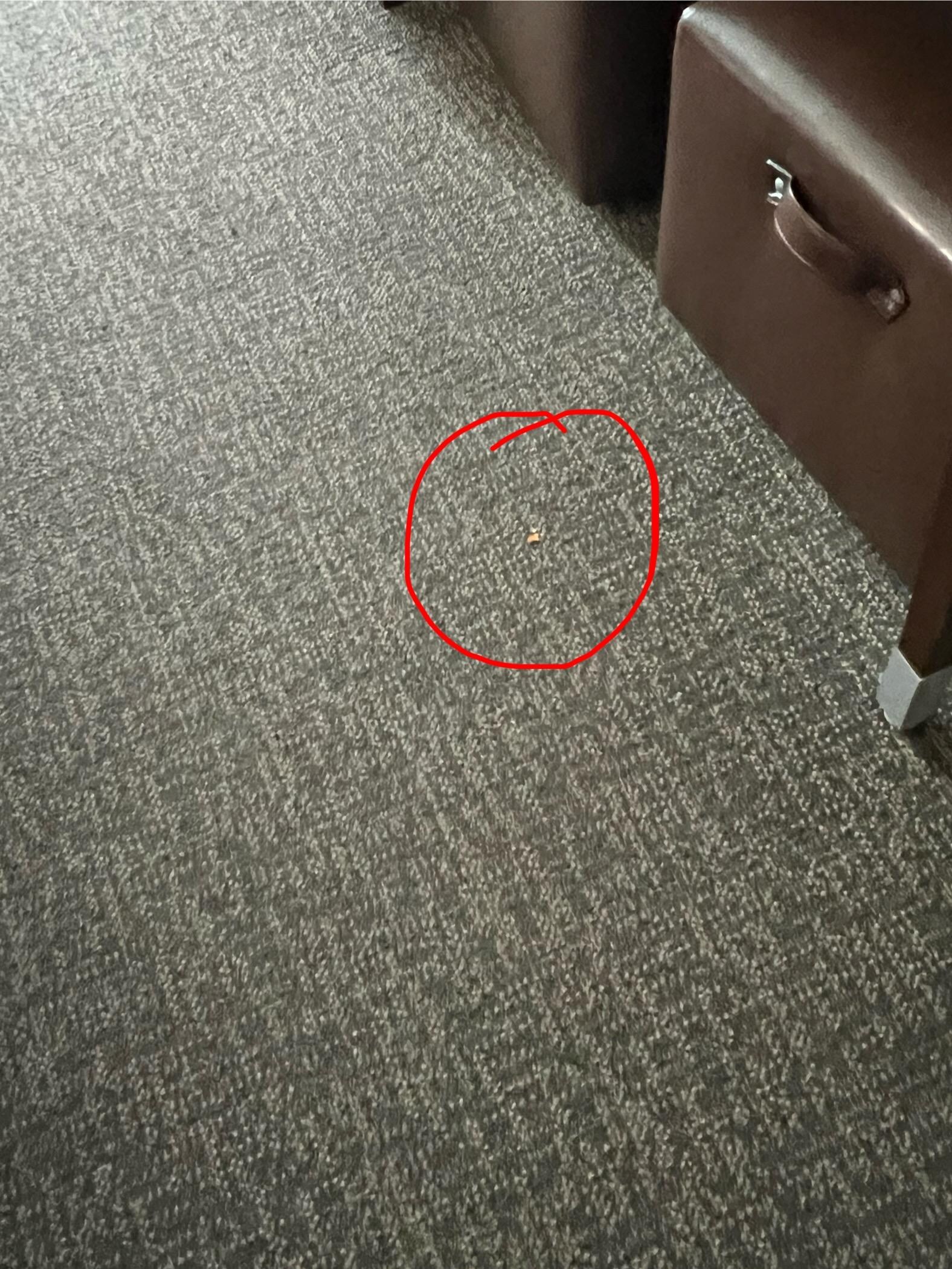 Wrappers and food on floor in room
