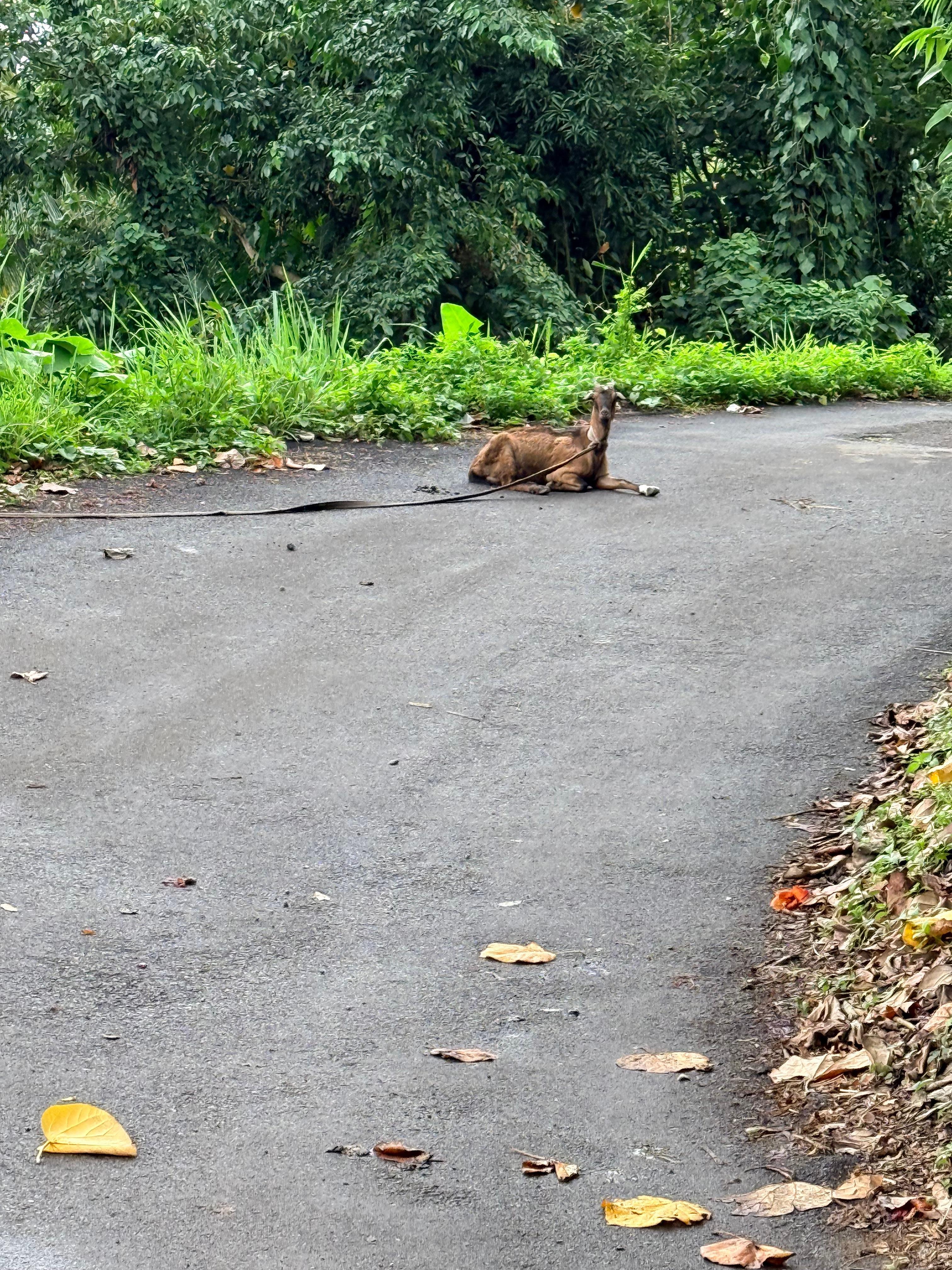 Hiking above the resort