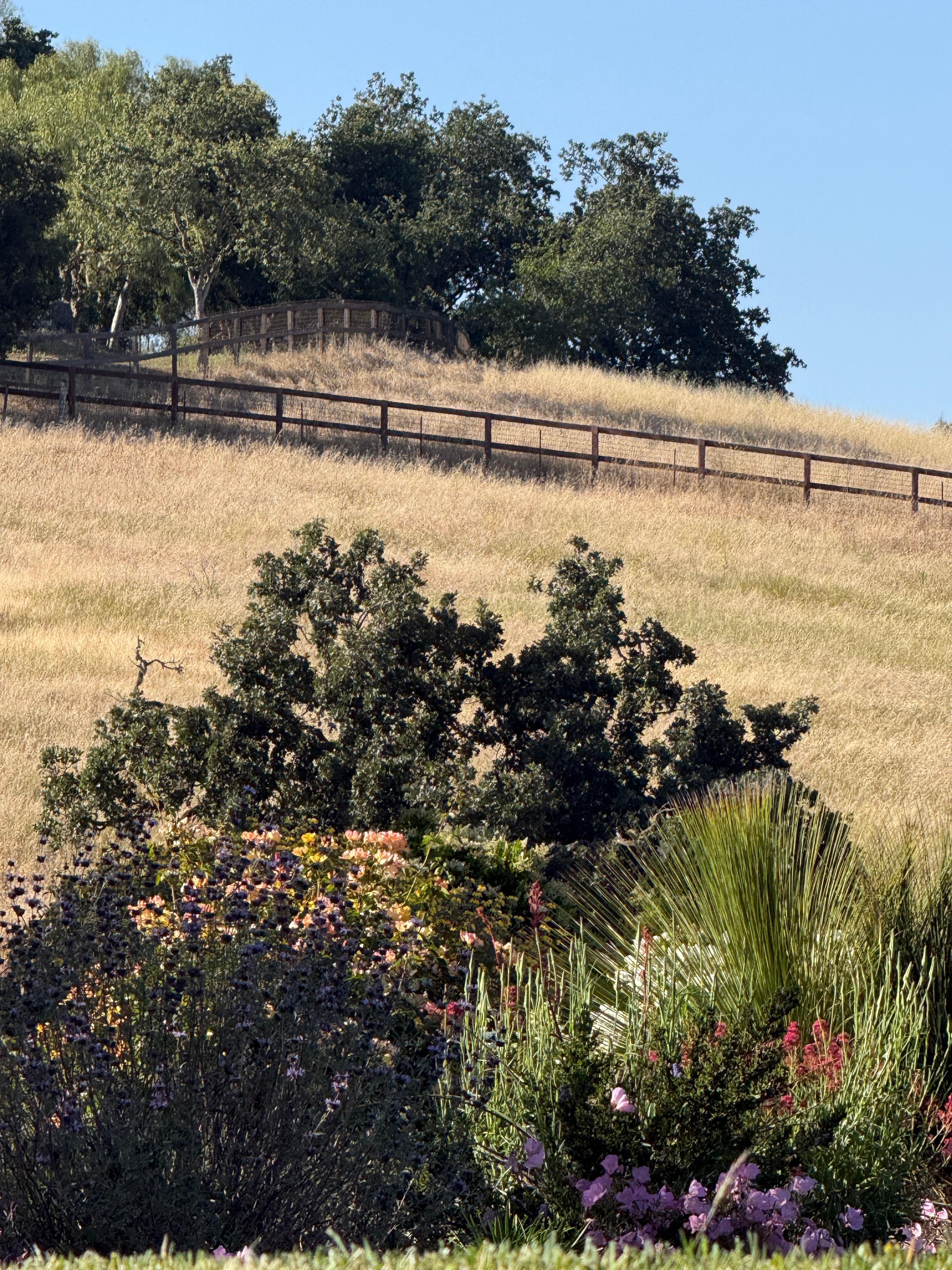 Landscaping is meticulously maintained