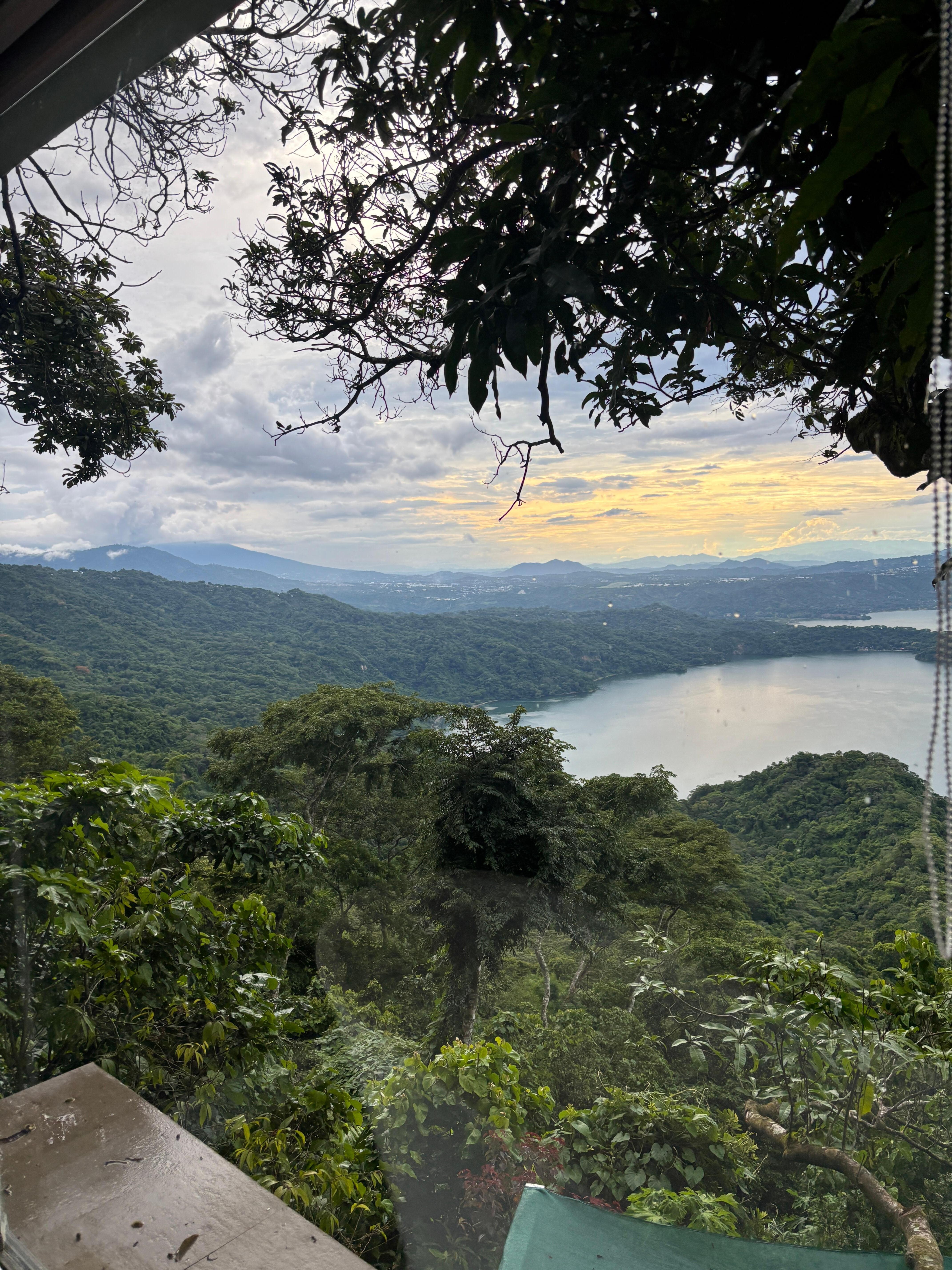 Views from the room