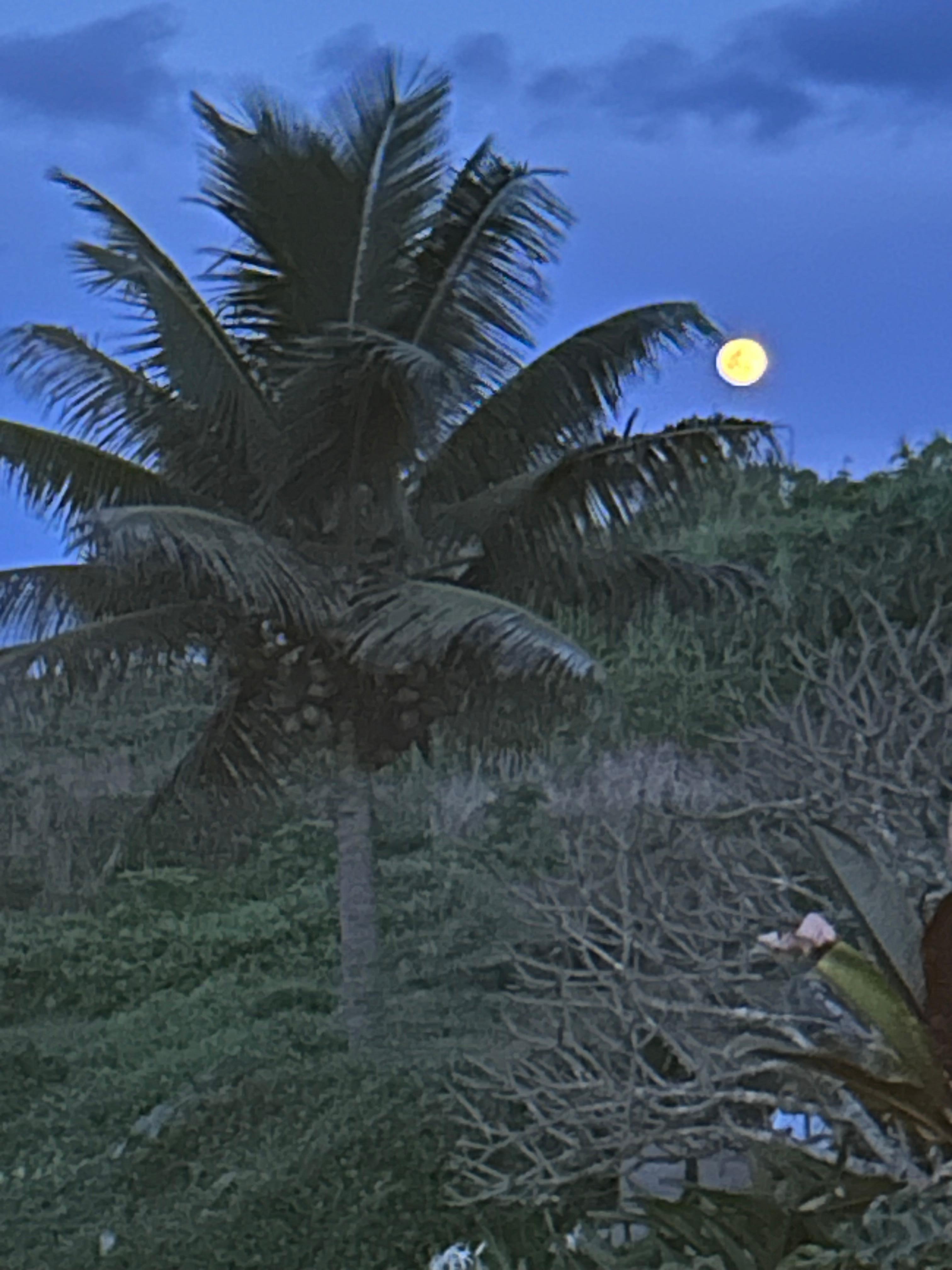 Moonrise from the lanai.