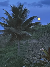 Moonrise from the lanai.