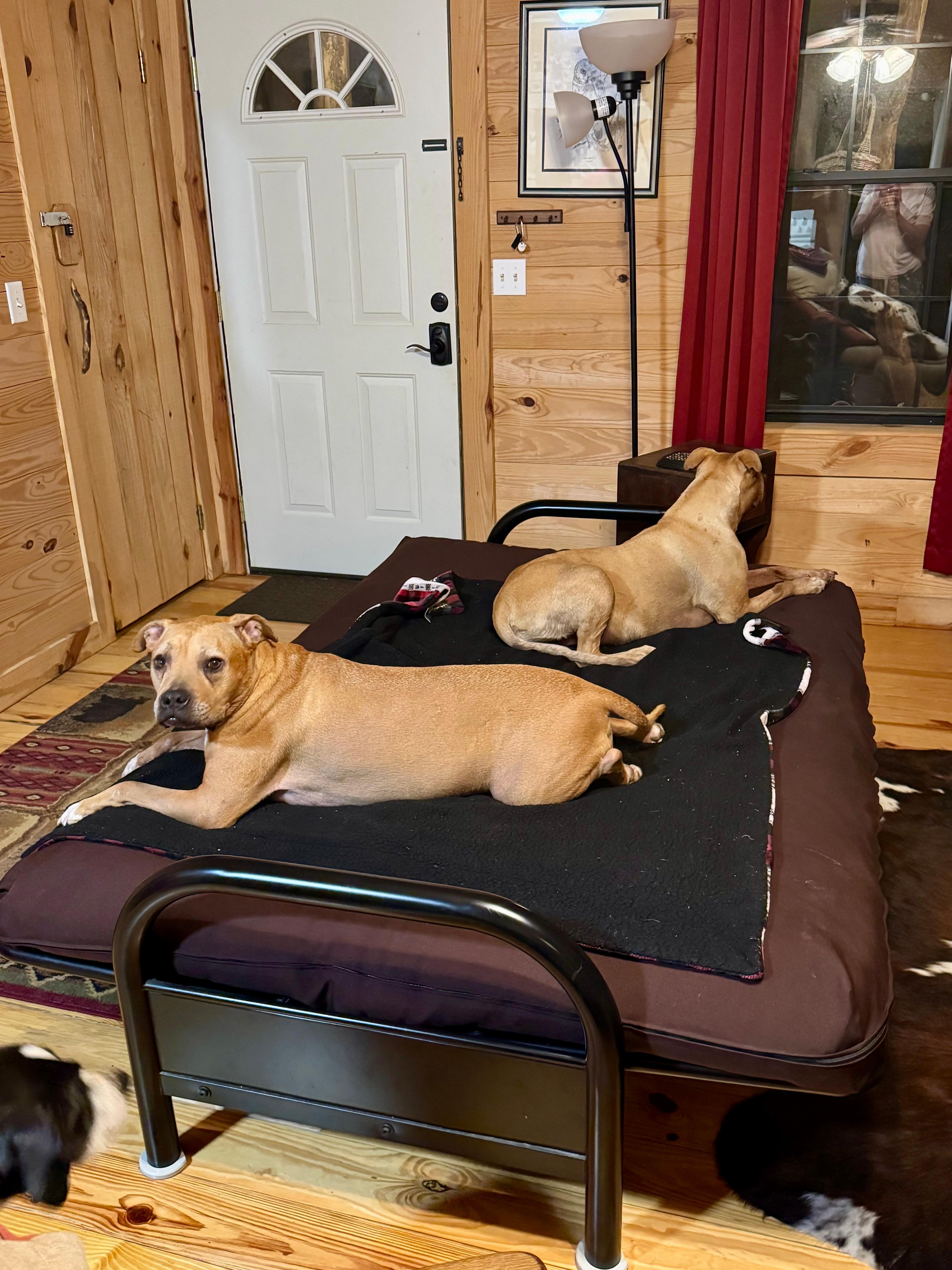 Destiny and Piper enjoying their mini vacation!