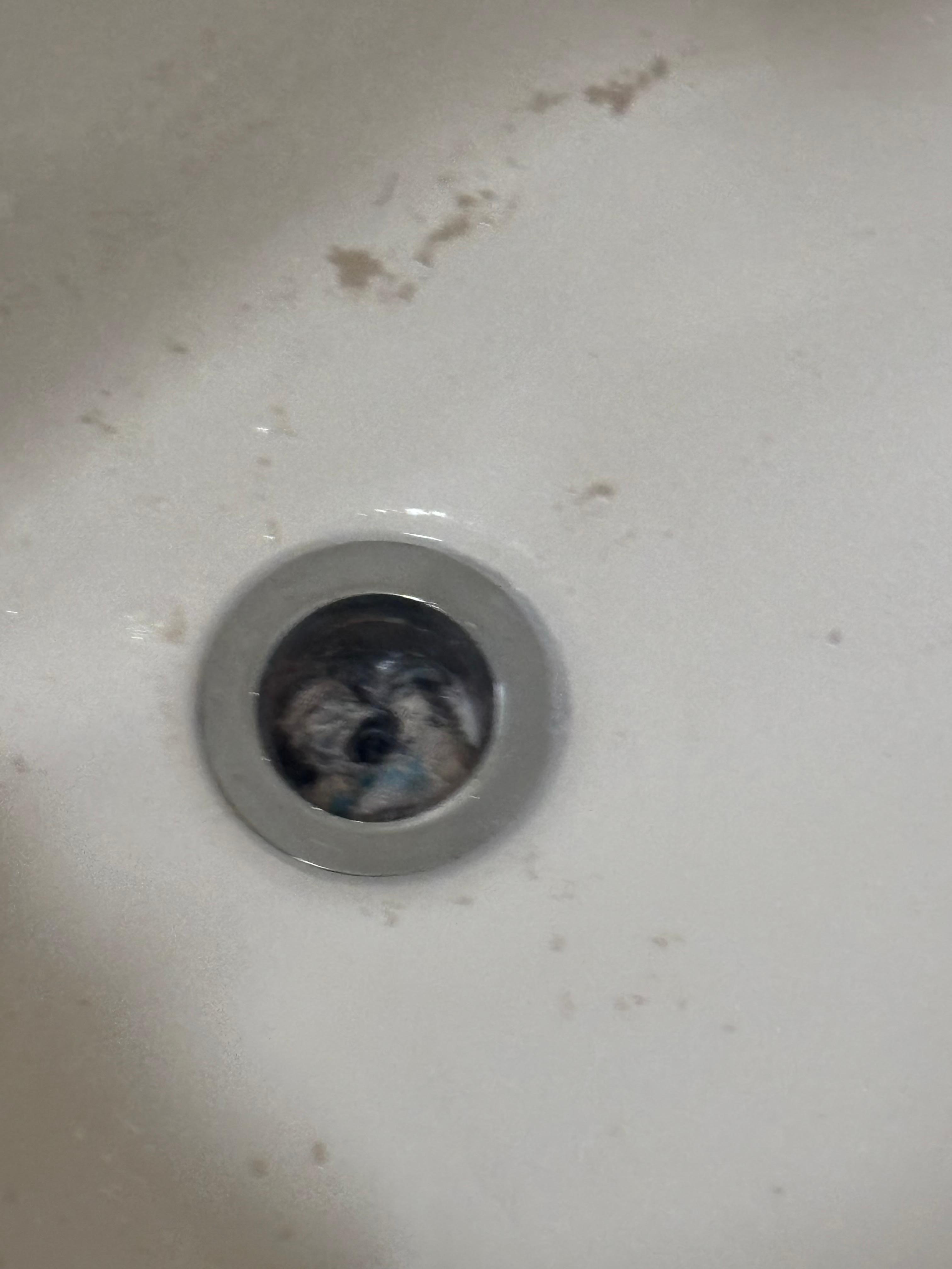 Clogged tub drain. 