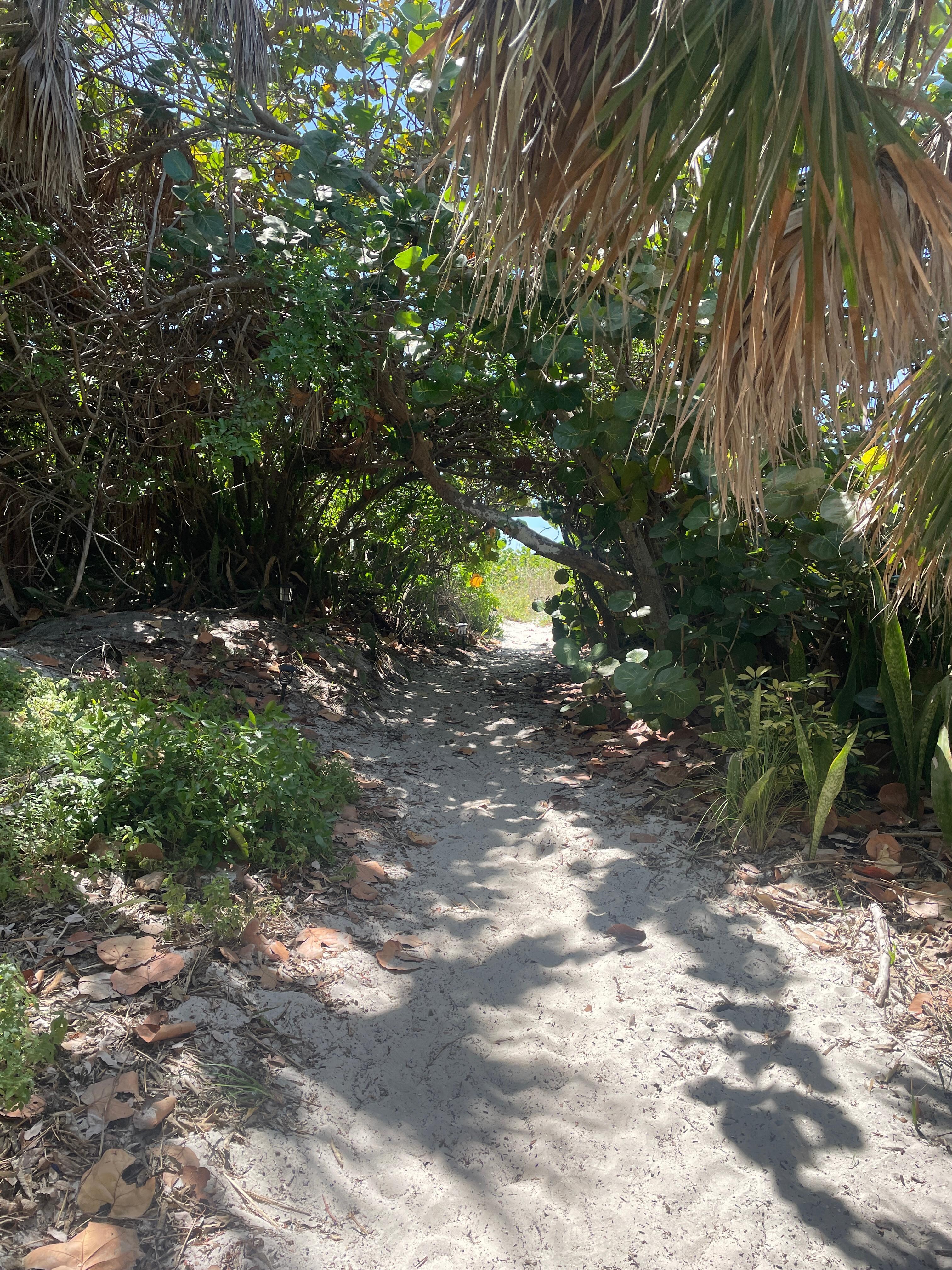 Quaint walkway/path to the beach