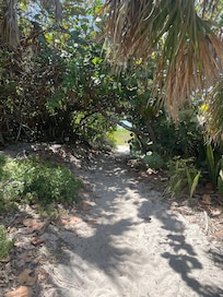 Quaint walkway/path to the beach