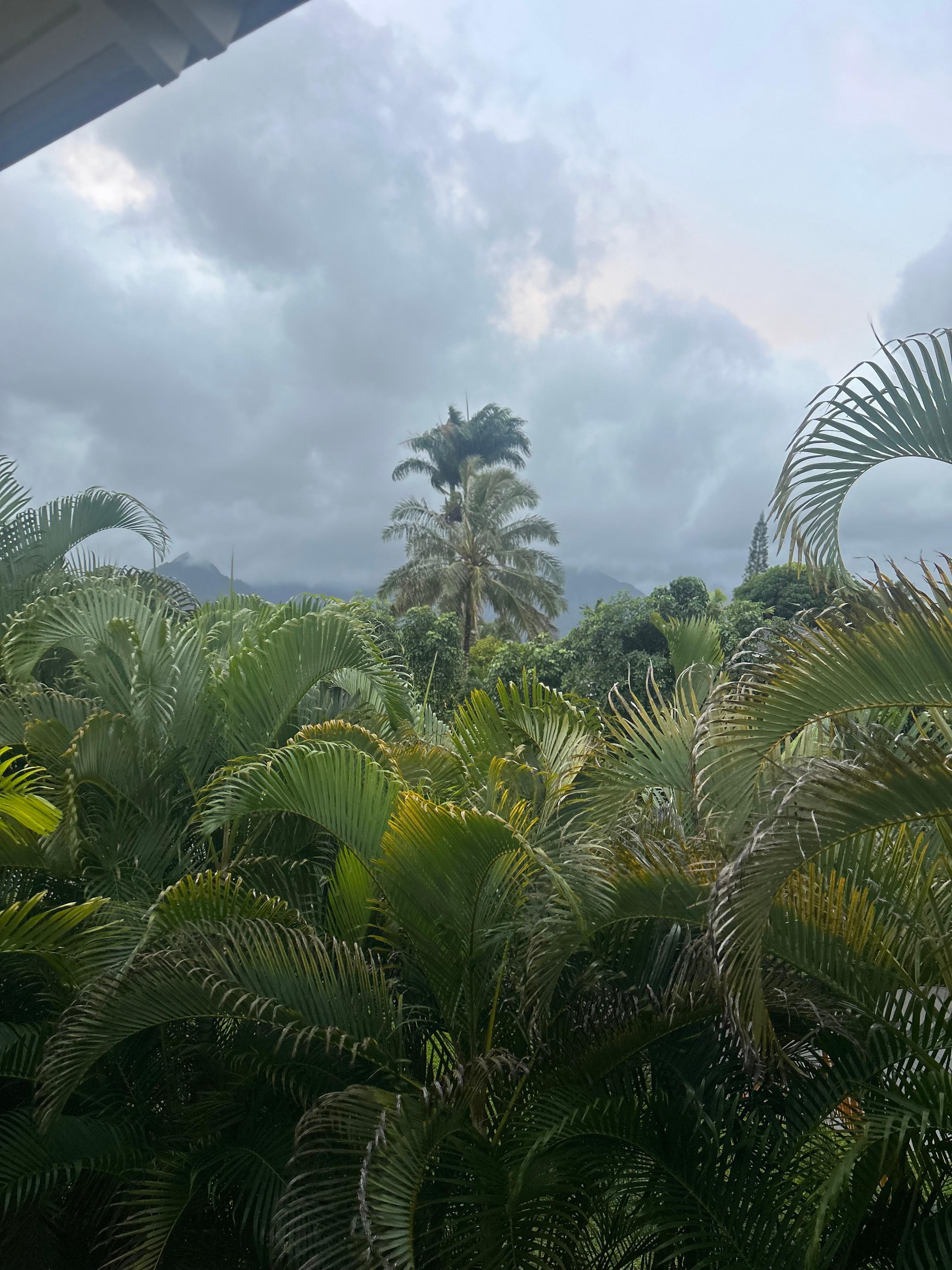 View from the patio, local traffic below.. 