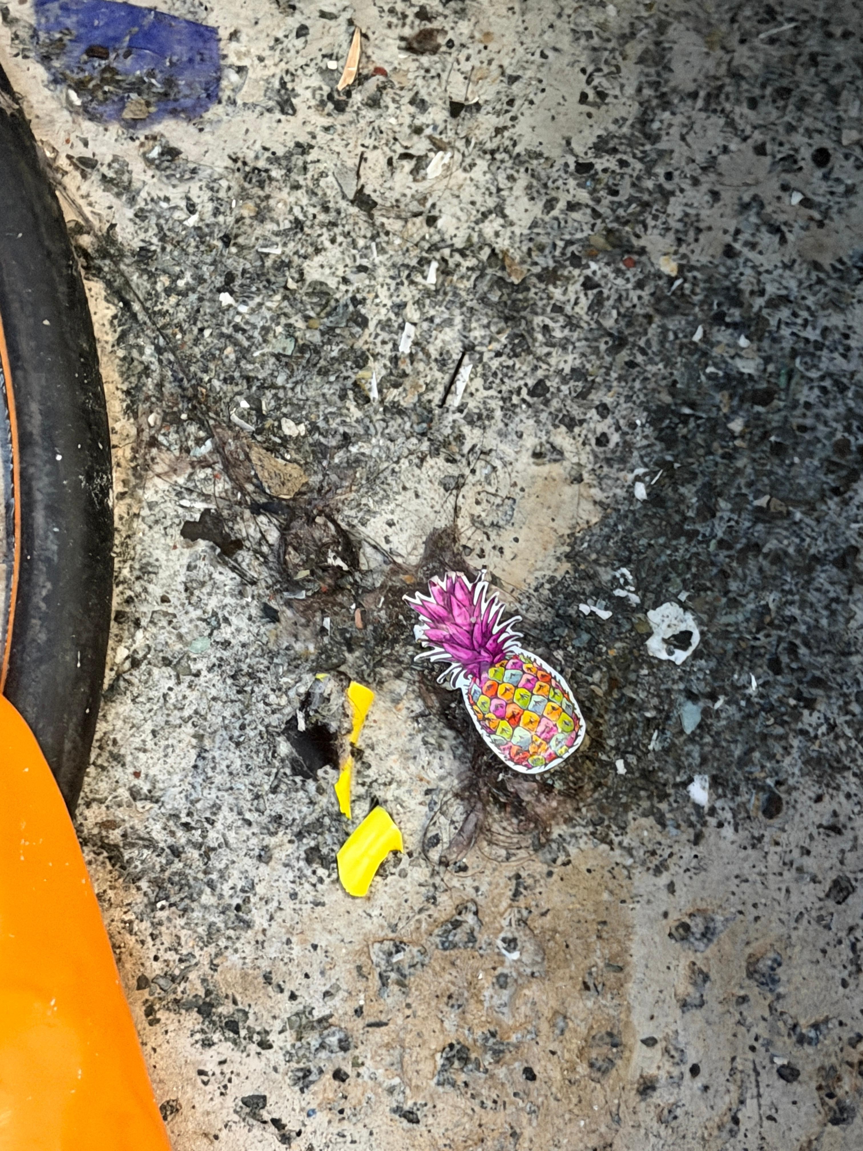 Dirt & Hair - Pool Deck