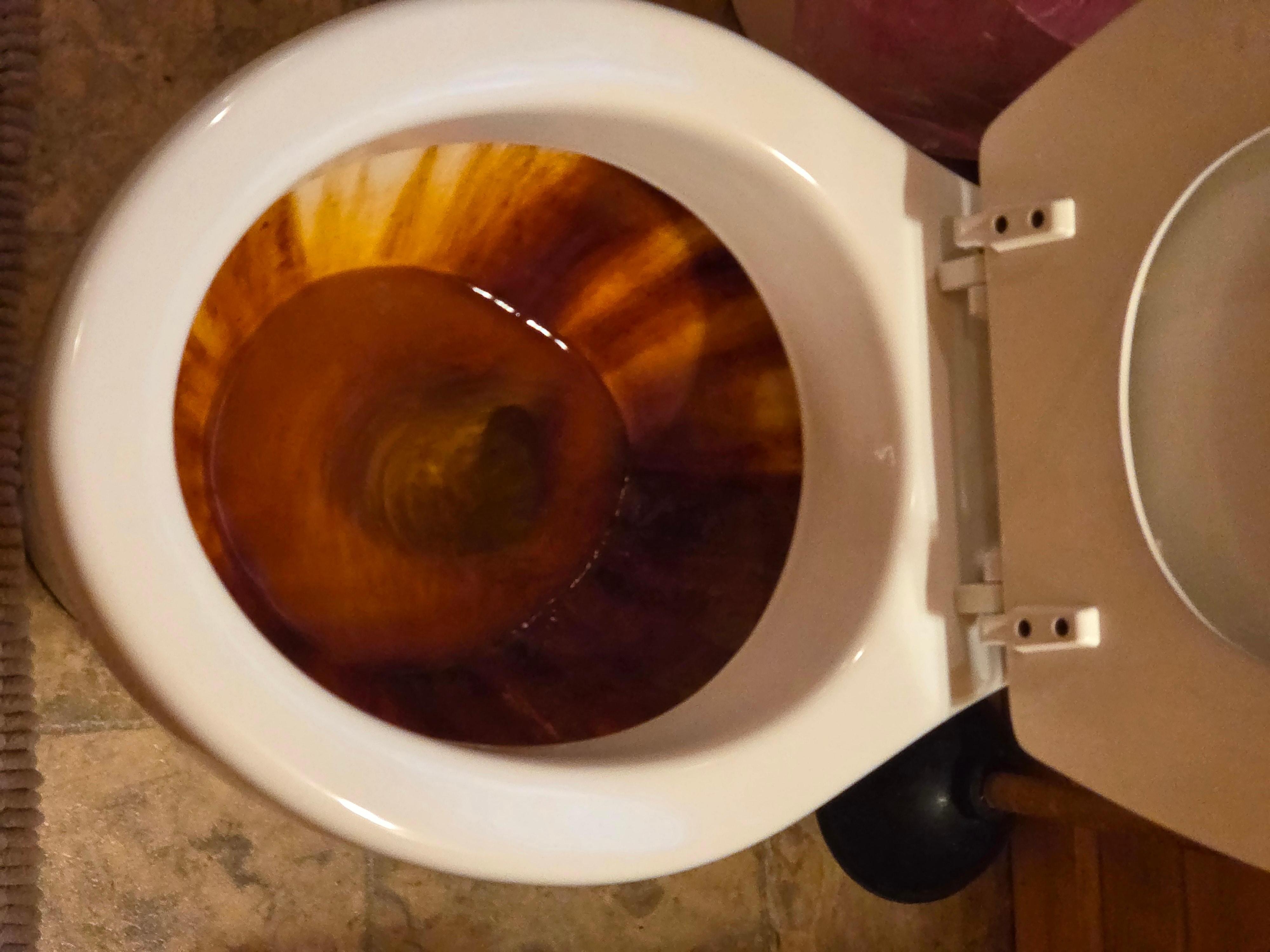 Toilet looked like this with stinky water constantly running in bowl. 