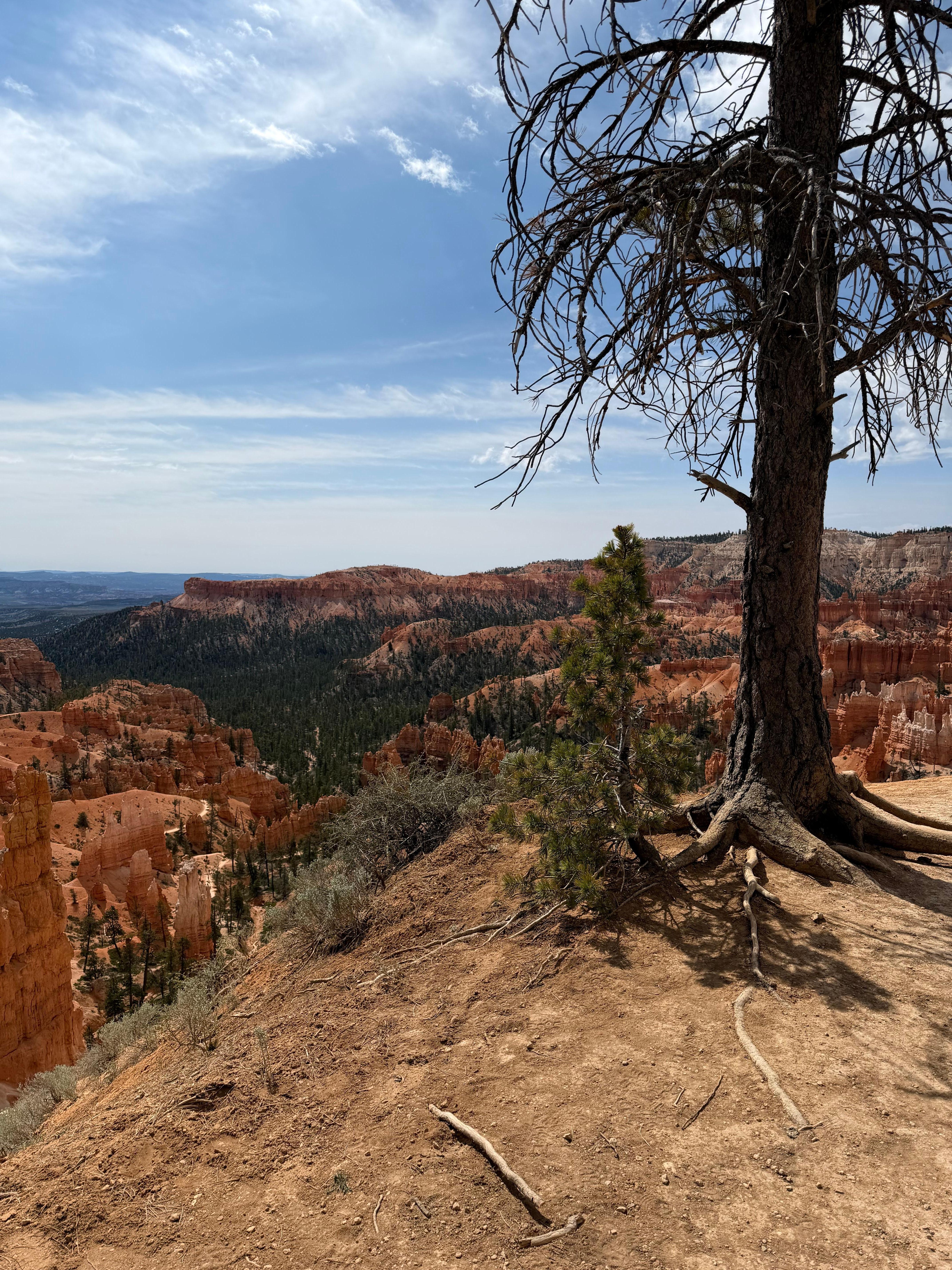 Bryce Canyon
