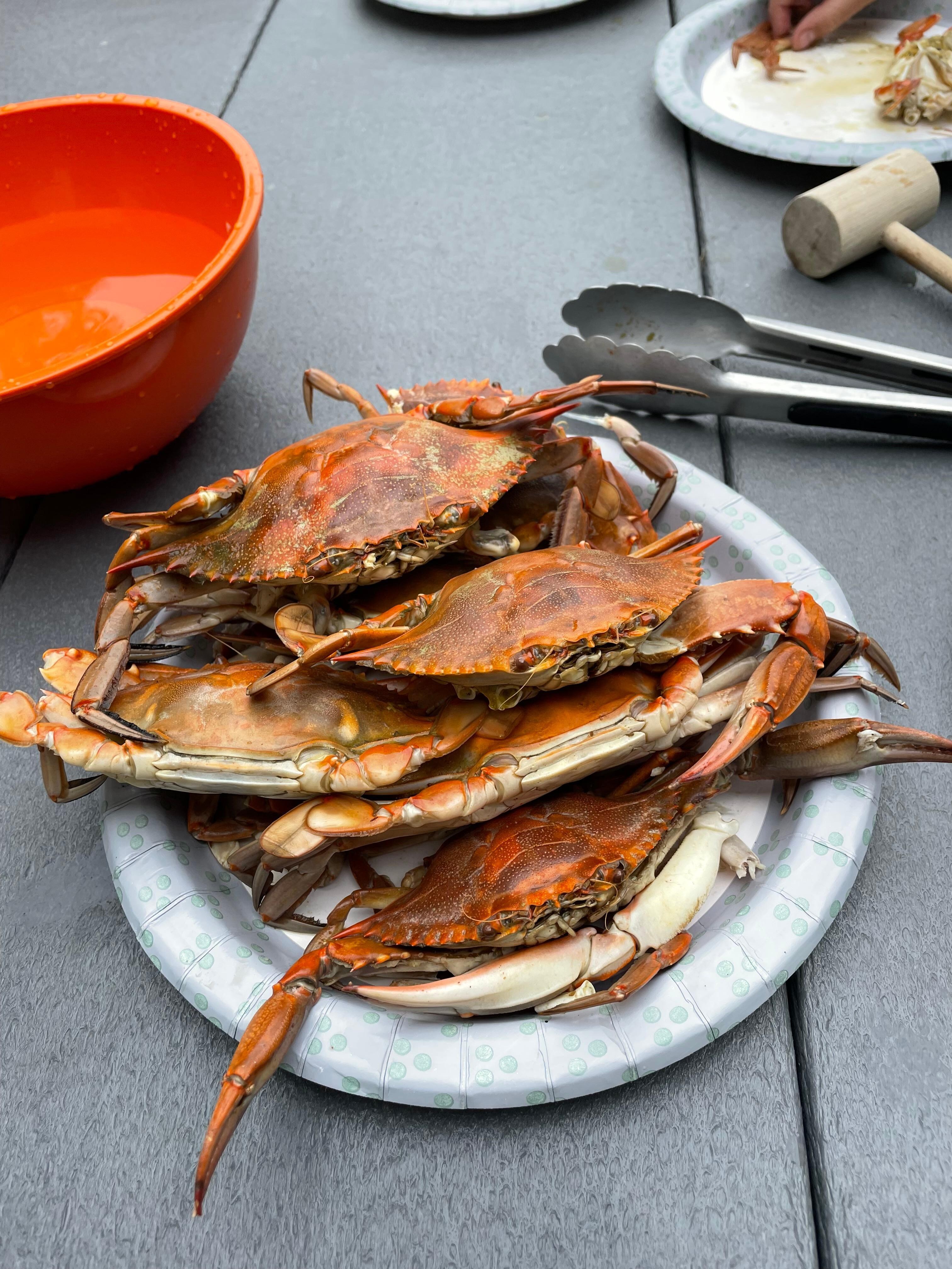 Crabs were plentiful and delicious 