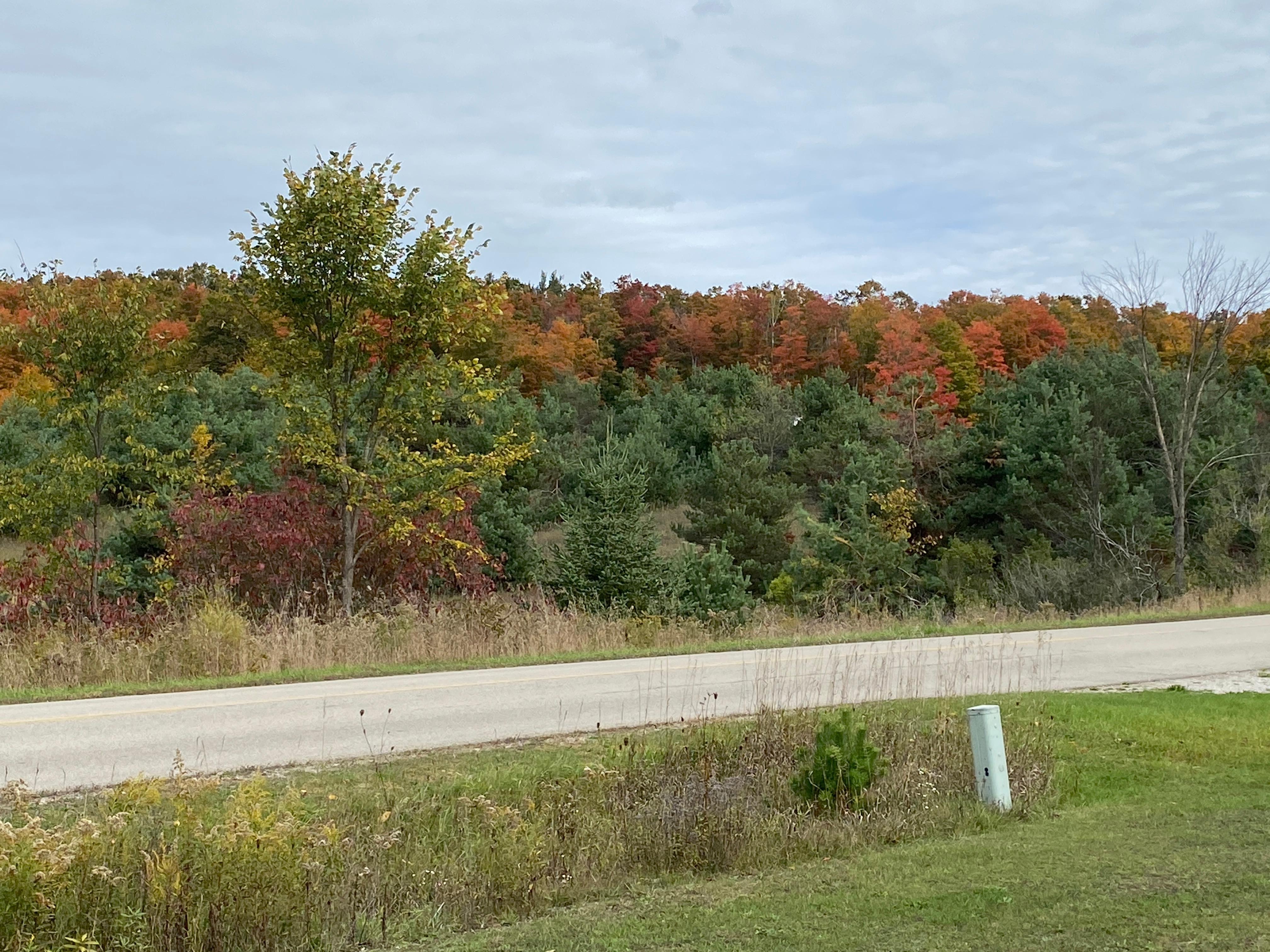 Across road from front yard.