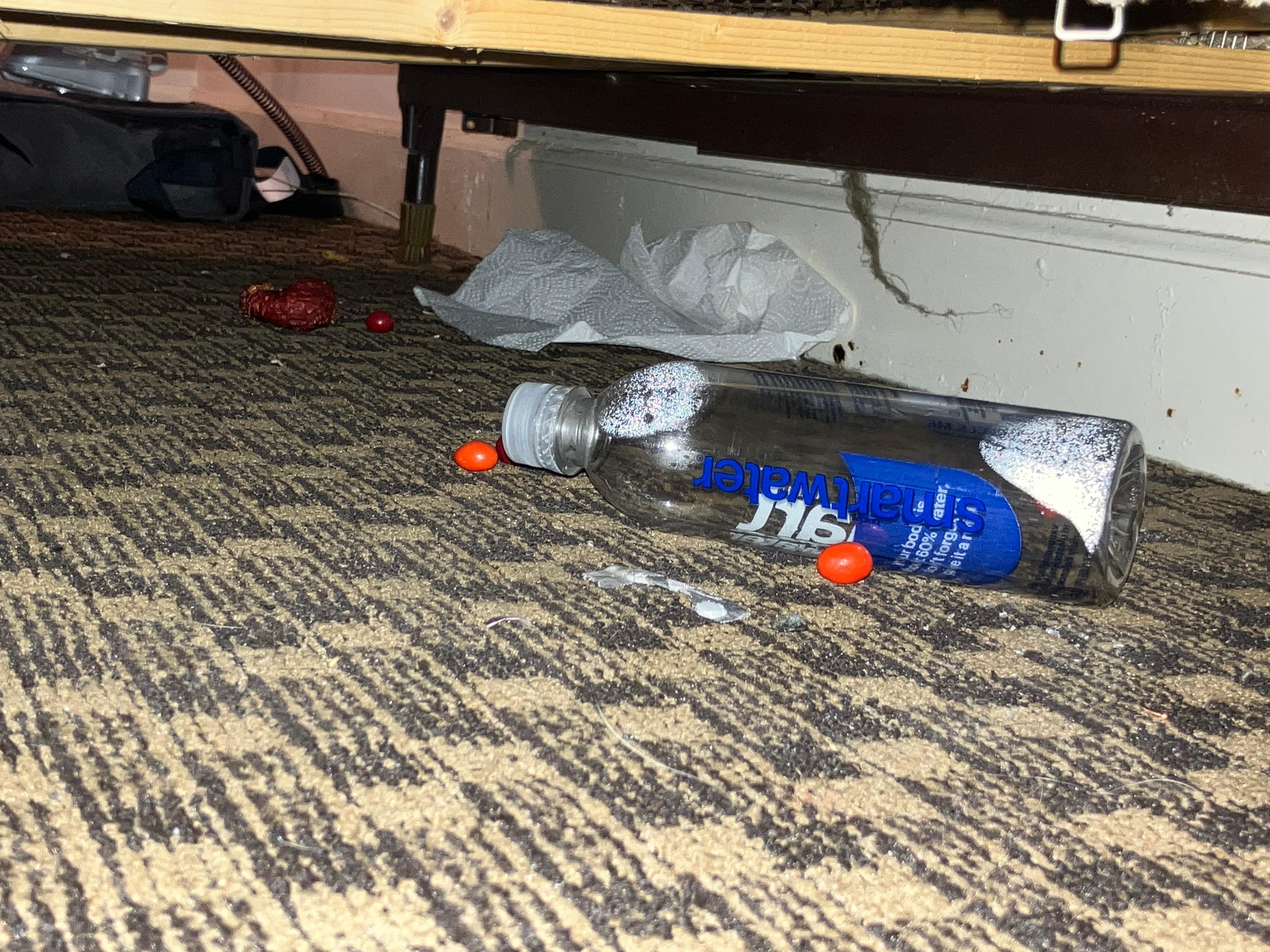 Trash under bed