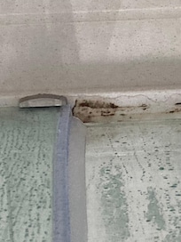 Mold/Mildew Shower Room 410