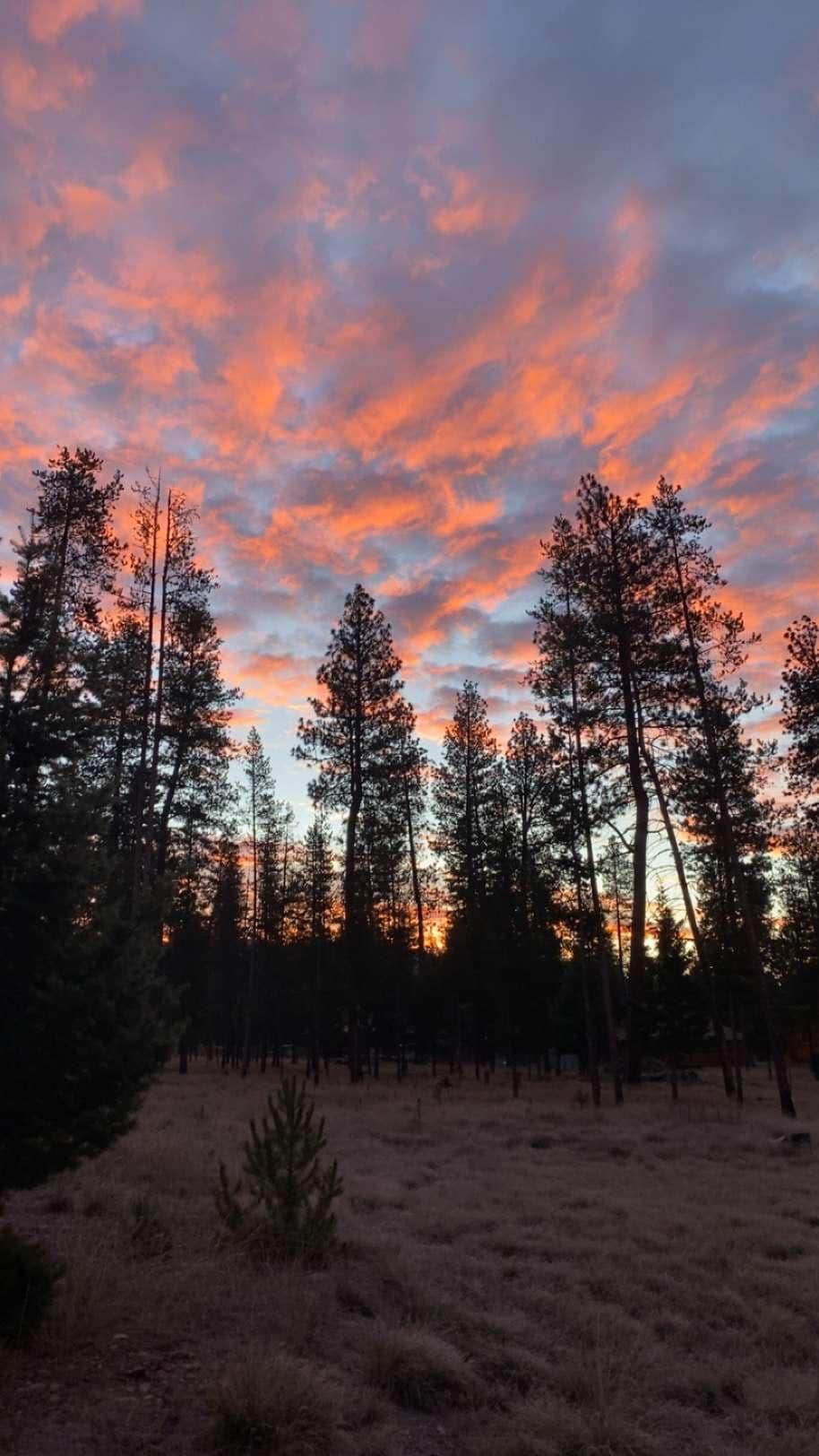 Sunrise from the back porch