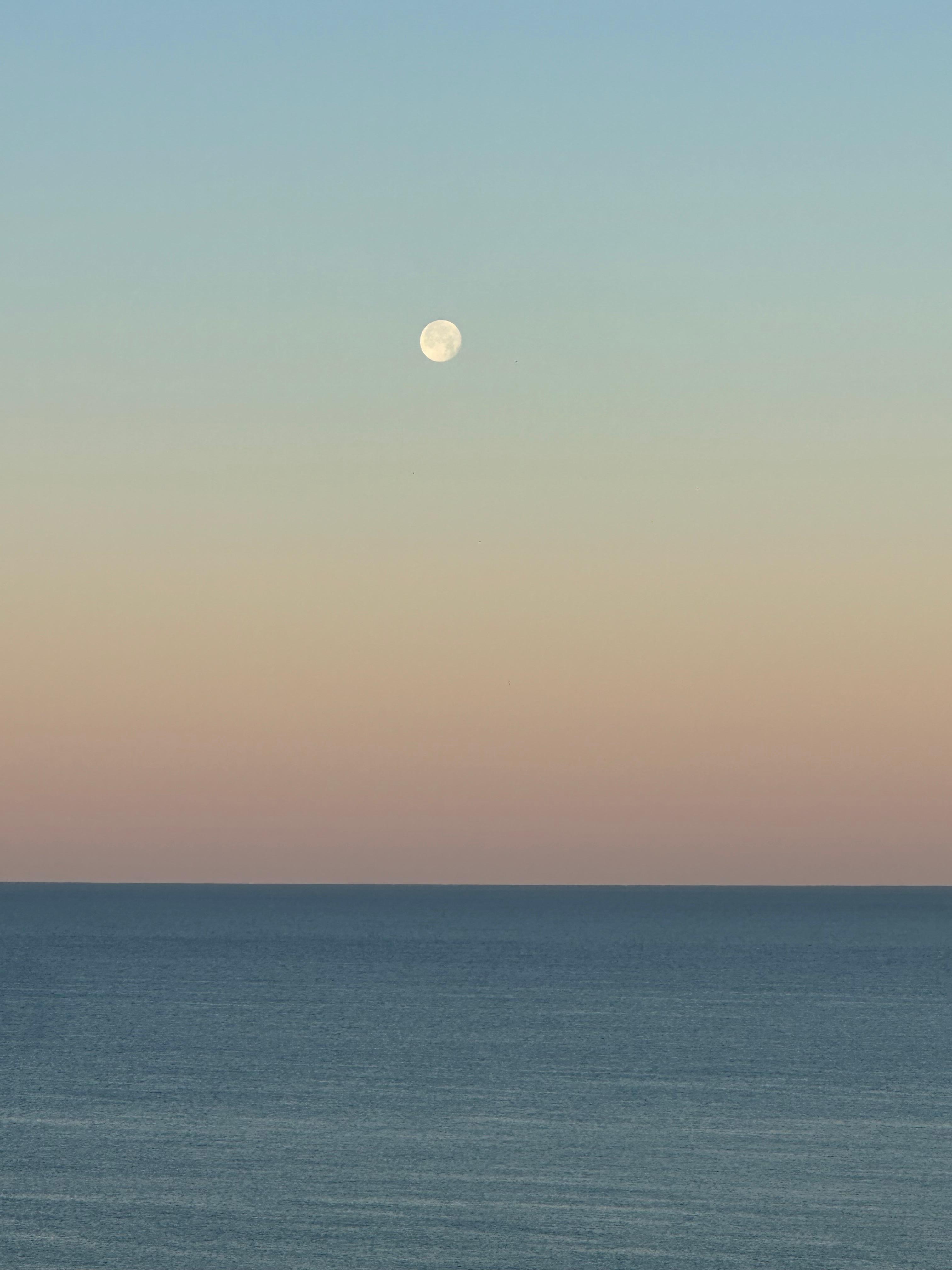 Early morning view